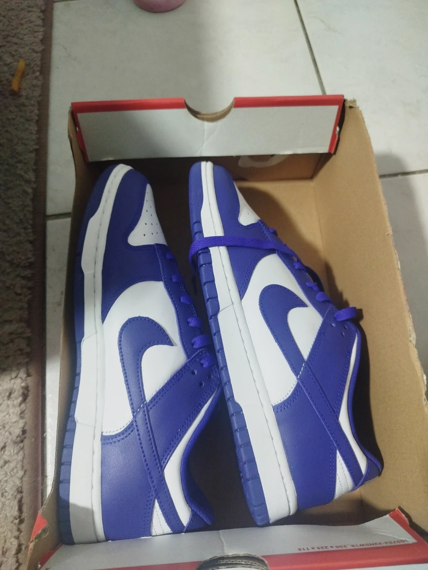 Baskets Nike Dunk Low bleu et blanc pointure 44.5