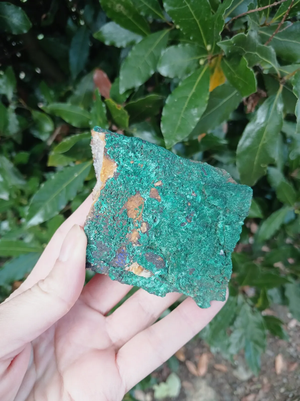 Minéral brut de malachite verte – Minerologie 4