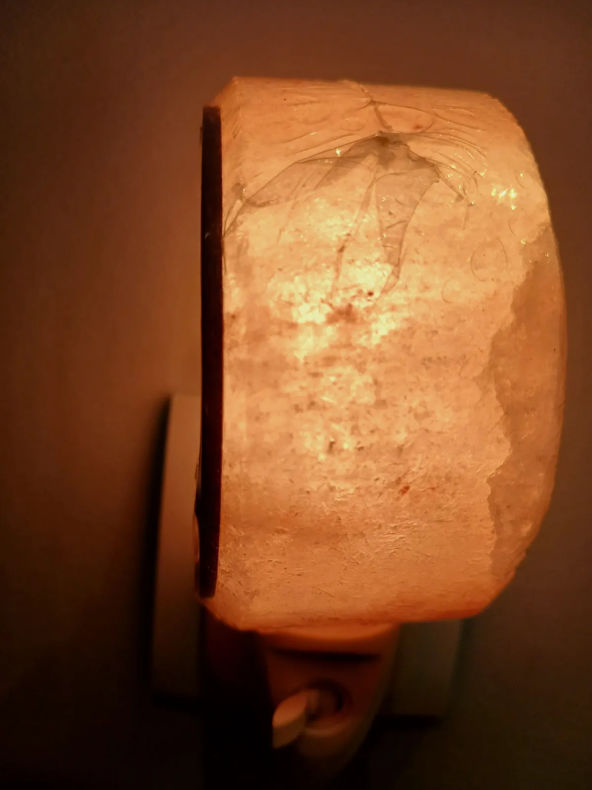 Veilleuse prise en sel de l'Himalaya arbre de vie – sans marque 2