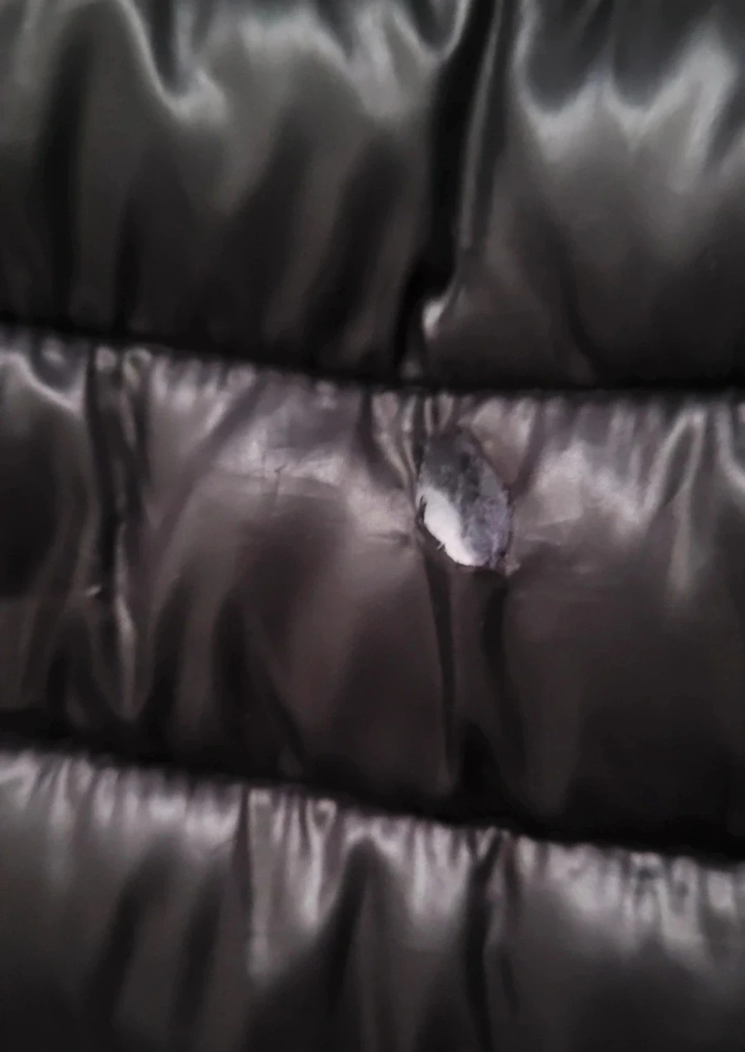 Chaqueta acolchada negra con capucha marca Esmara – Esmara – taille XL / 42 / 14 4