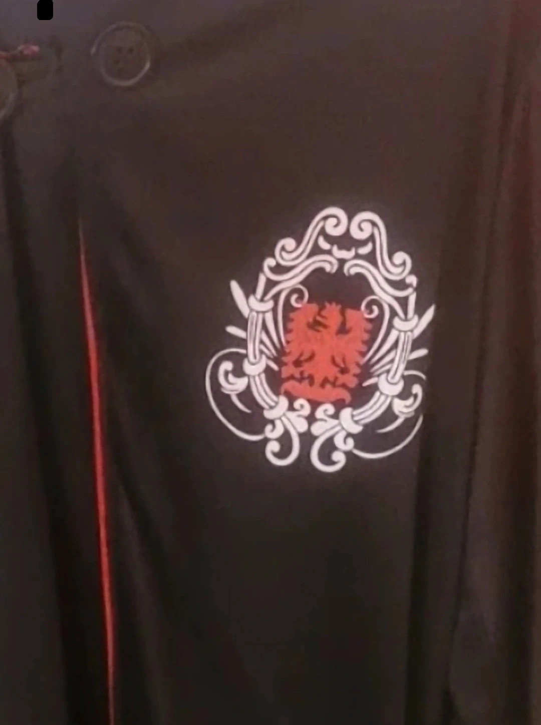 Capa de Mago Negra con Capucha Roja y Escudo – Rubies – taille 10 ans / 140 cm 3
