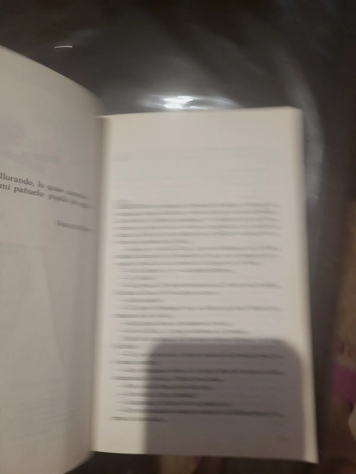 Libro Pupila de águila de Alfredo Gómez Cerdá Ediciones SM – Ediciones SM 3