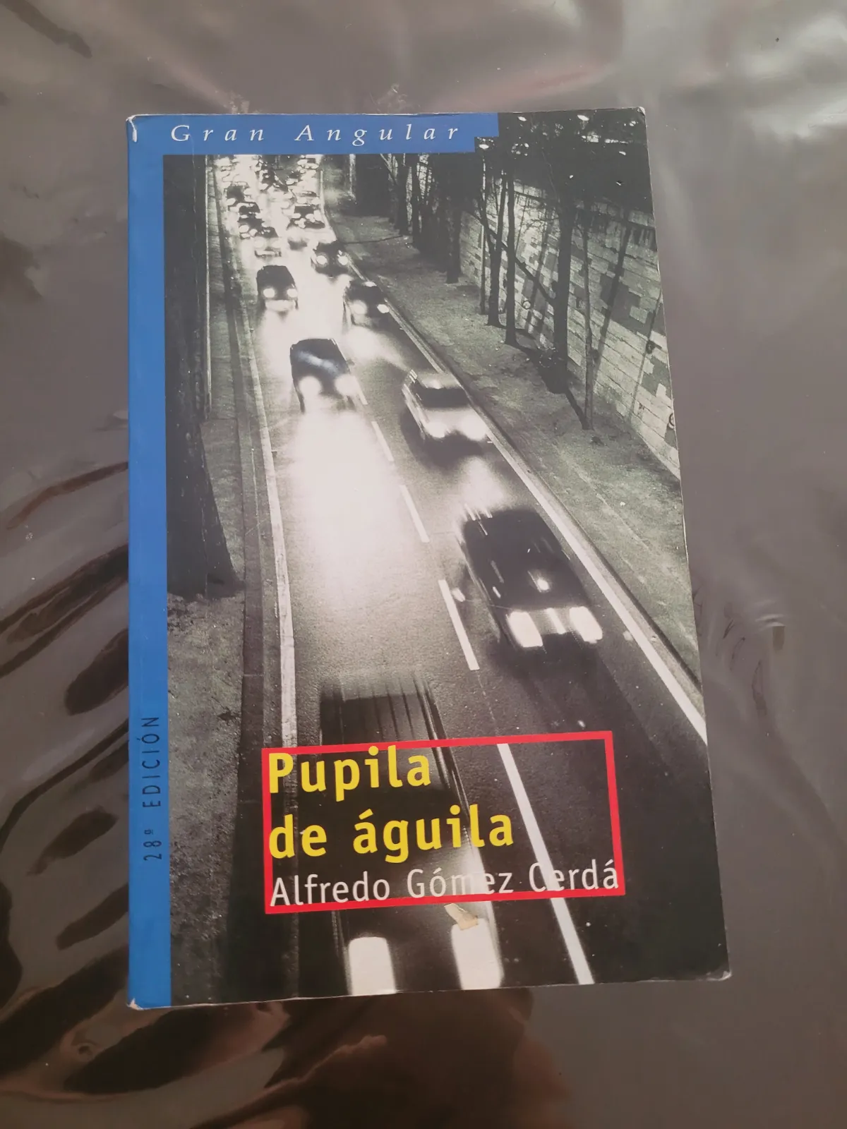 Libro Pupila de águila de Alfredo Gómez Cerdá Ediciones SM – Ediciones SM 2