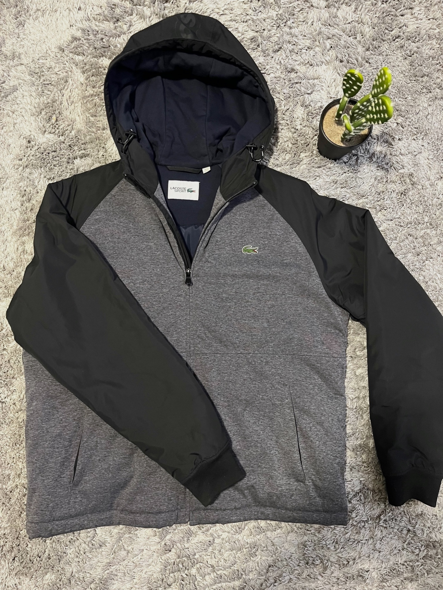 Veste Lacoste
