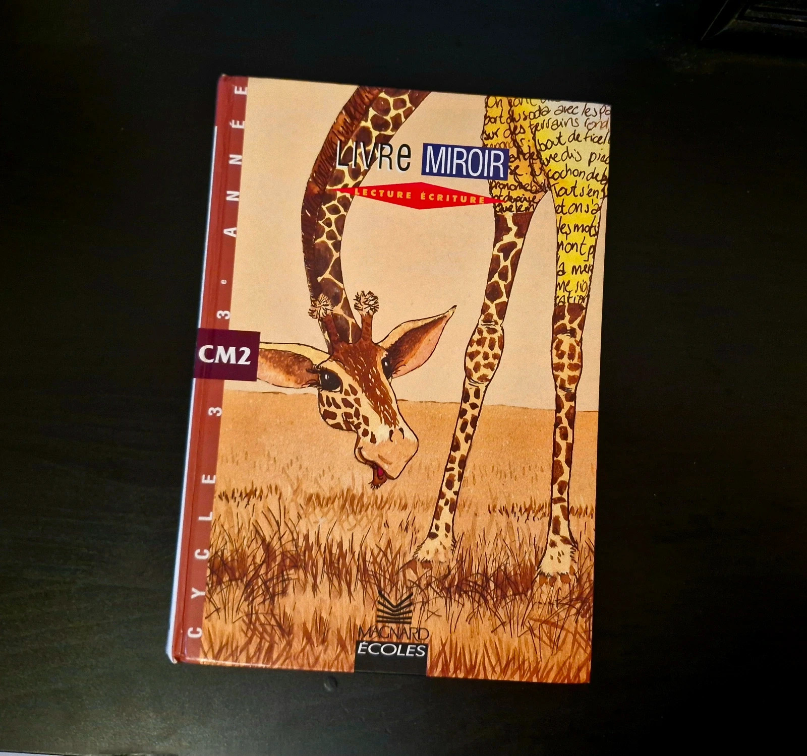 Livre miroir - CM2