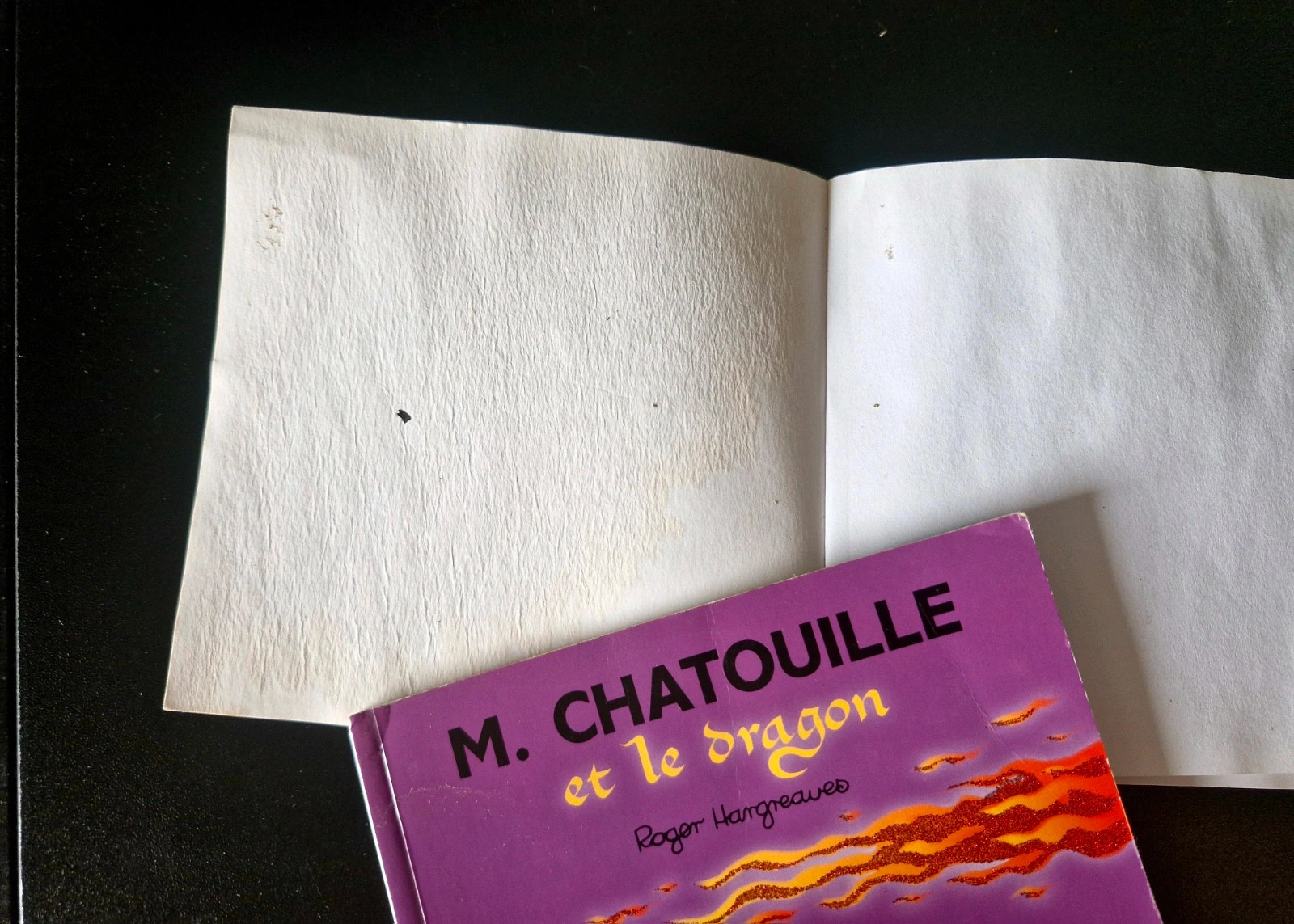 Lot de 2 Monsieur et Madame 3