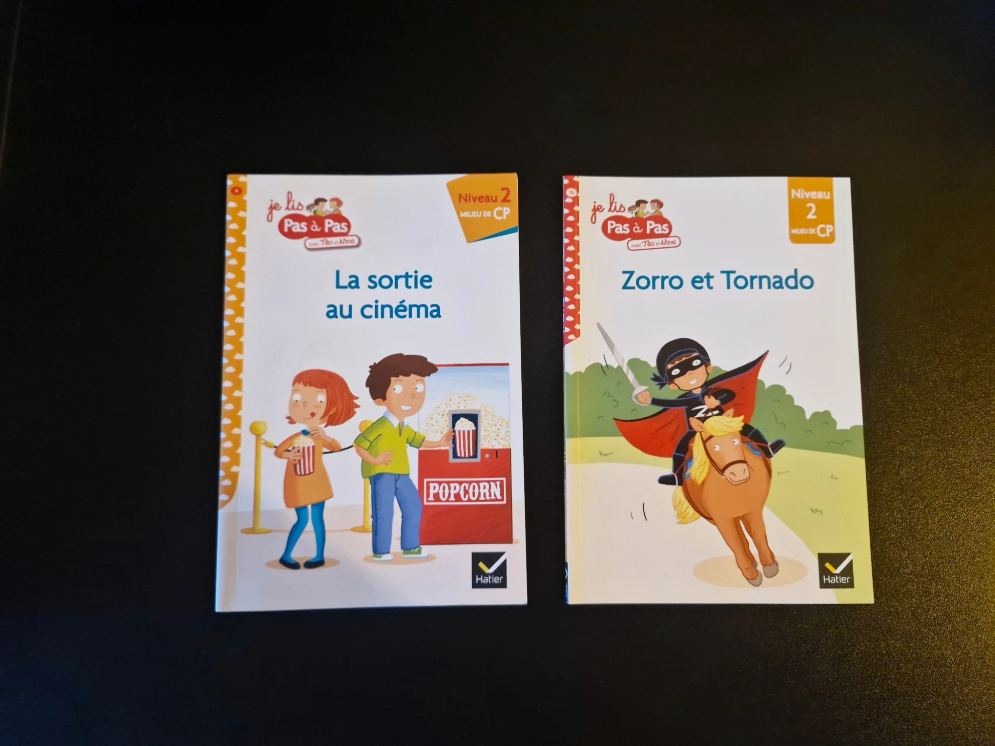 Lot 2 livres Hatier Je lis Pas à Pas - Téo et Nina Niveau 2 CP