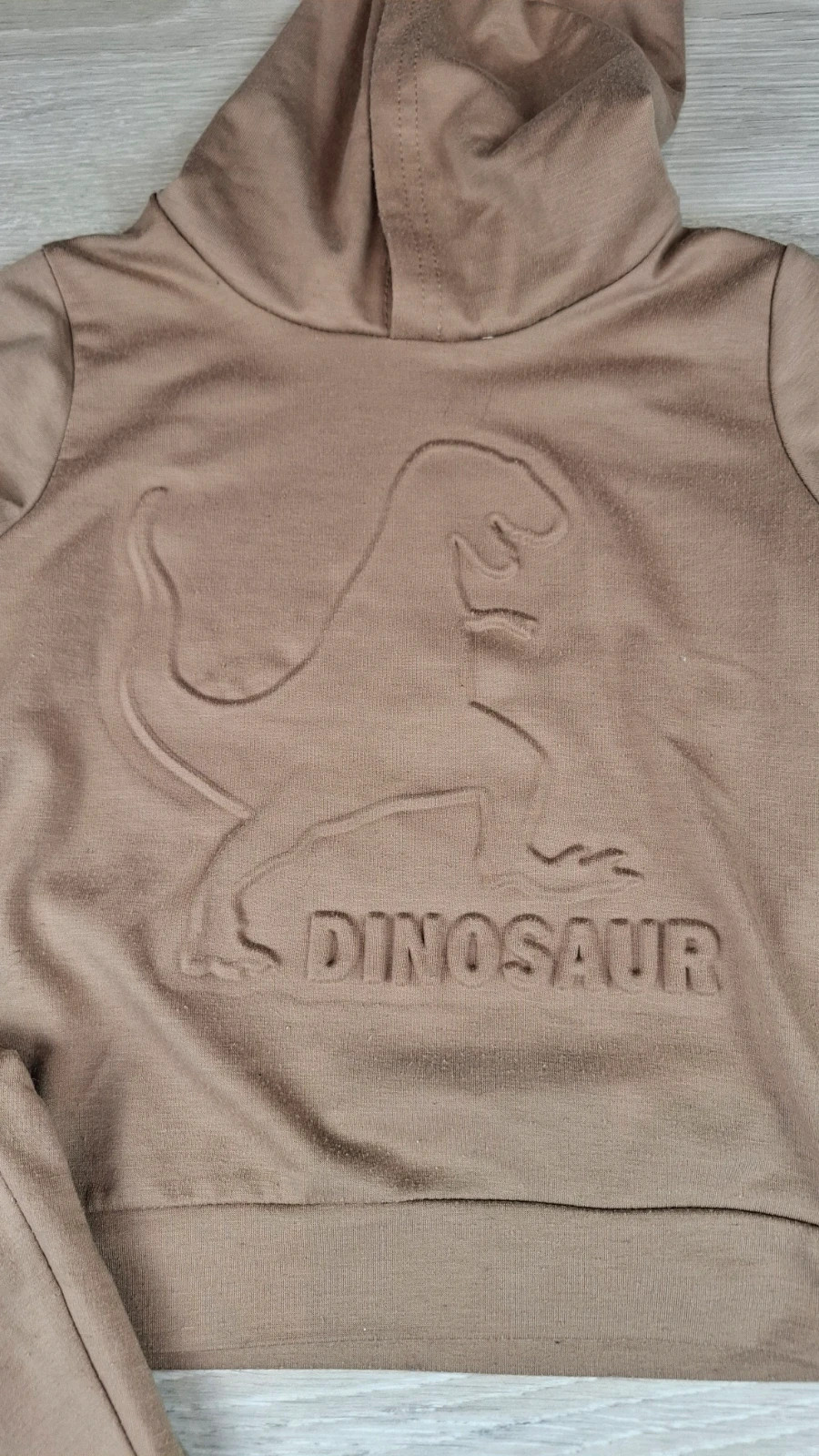 Ensemble Jogging Dinosaur Marron 4 ans – Sweat Capuche + Pantalon – Shein – taille 4 ans / 104 cm 2
