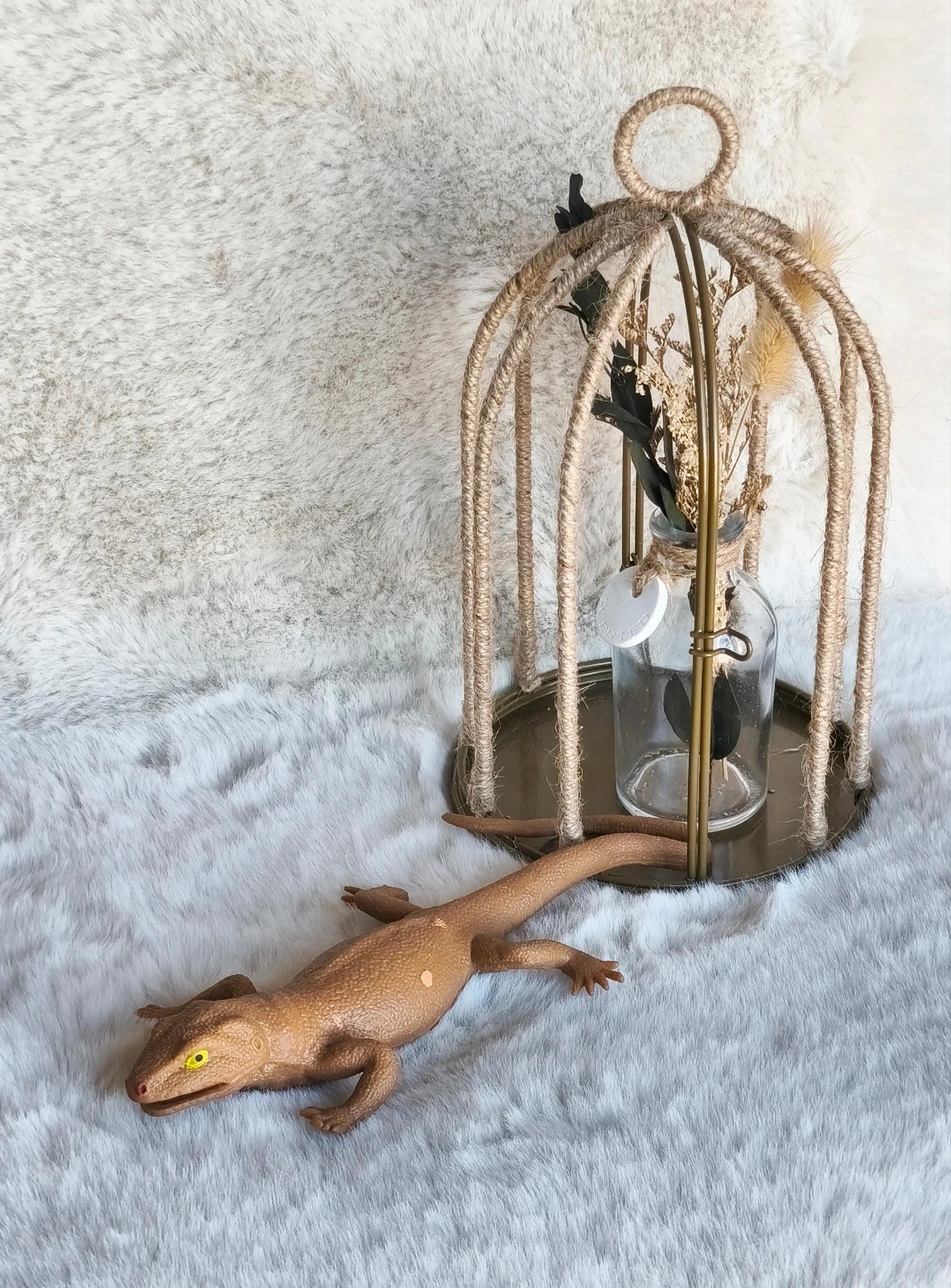 🤎 lézard en caoutchouc élastique 🤎