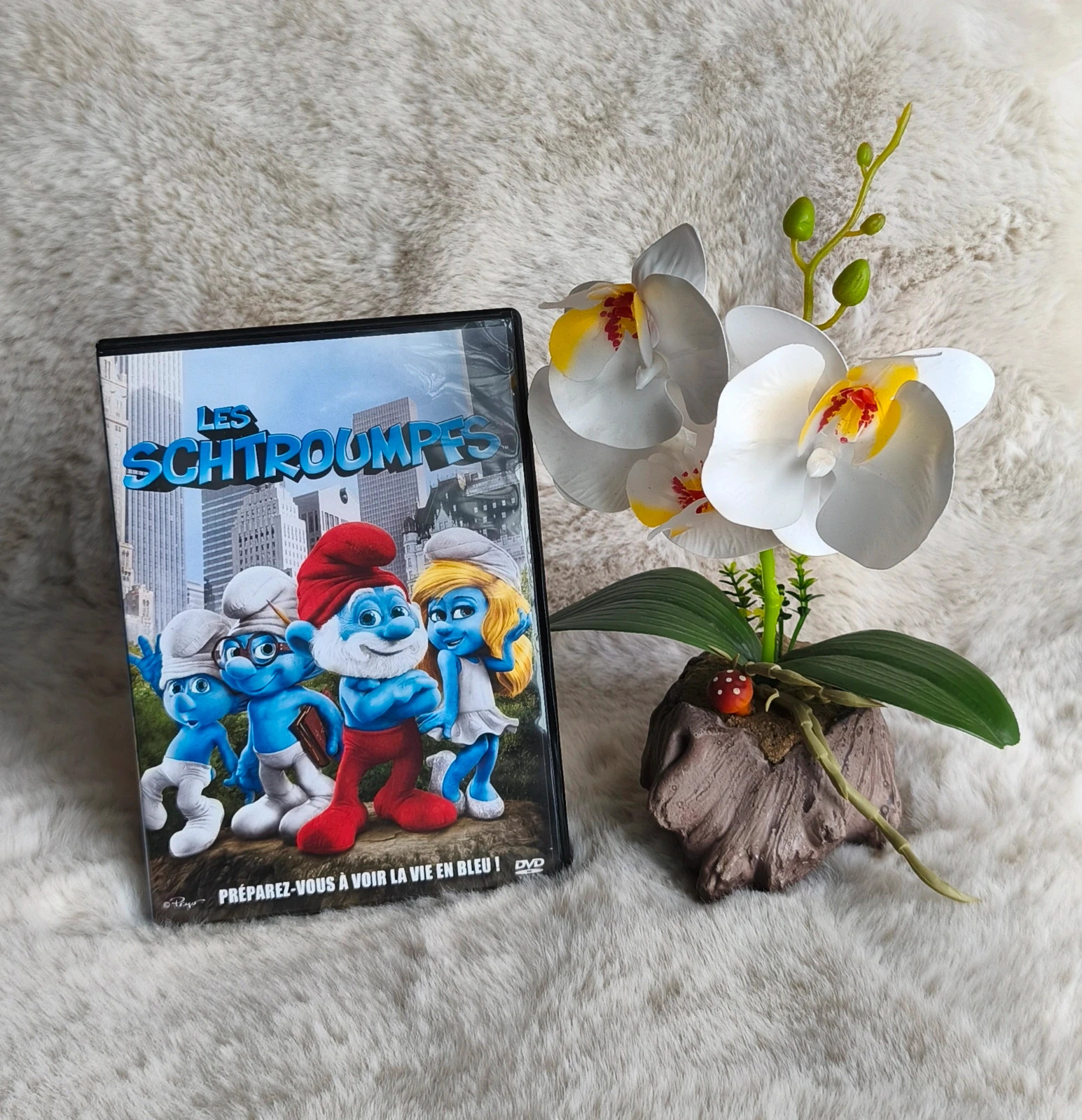 💙 DVD "les Schtroumpfs" 💙