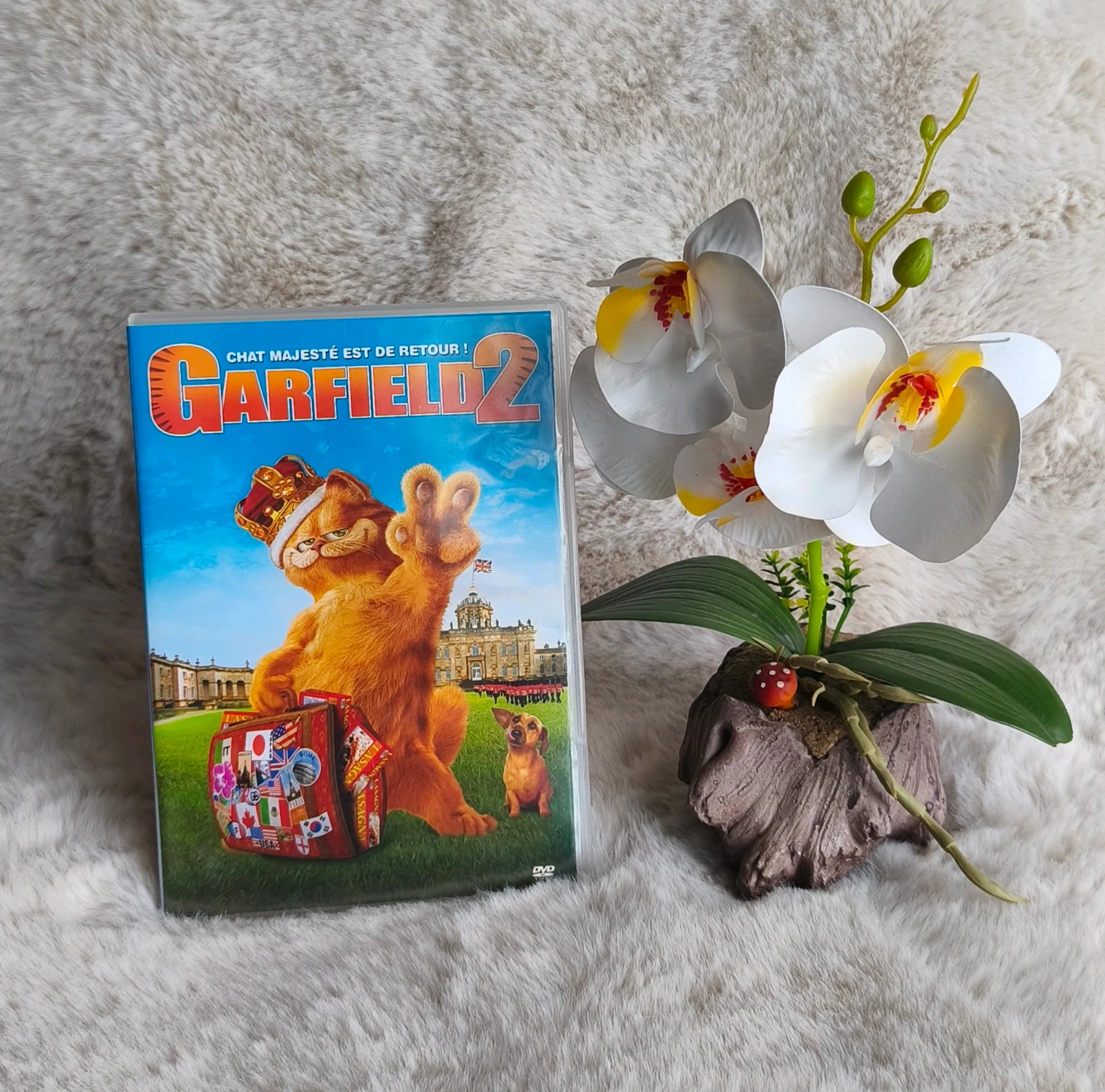 🧡 DVD "Garfield 2" 🧡