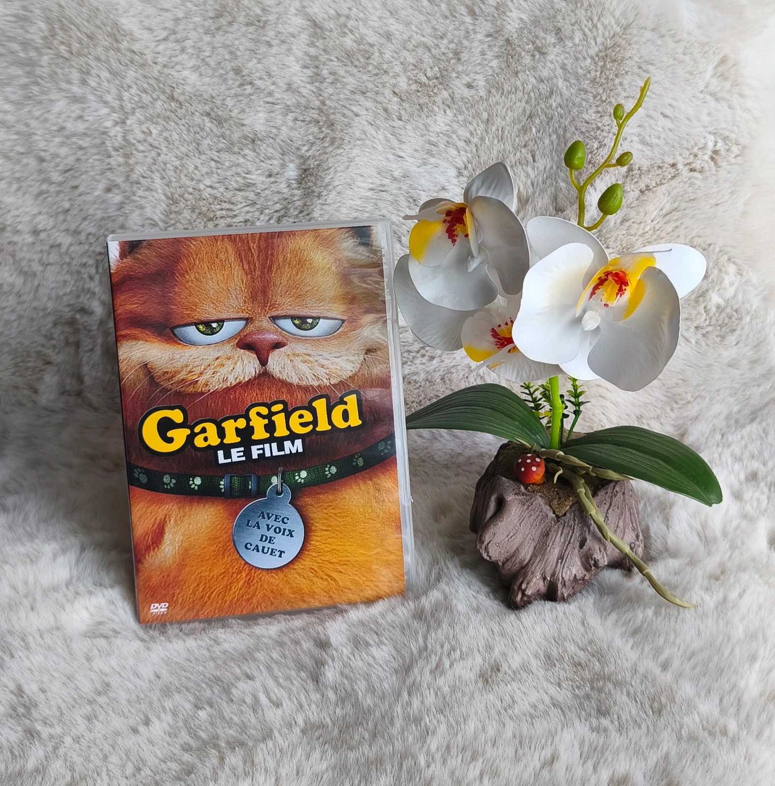 🧡 DVD "Garfield" le film 🧡