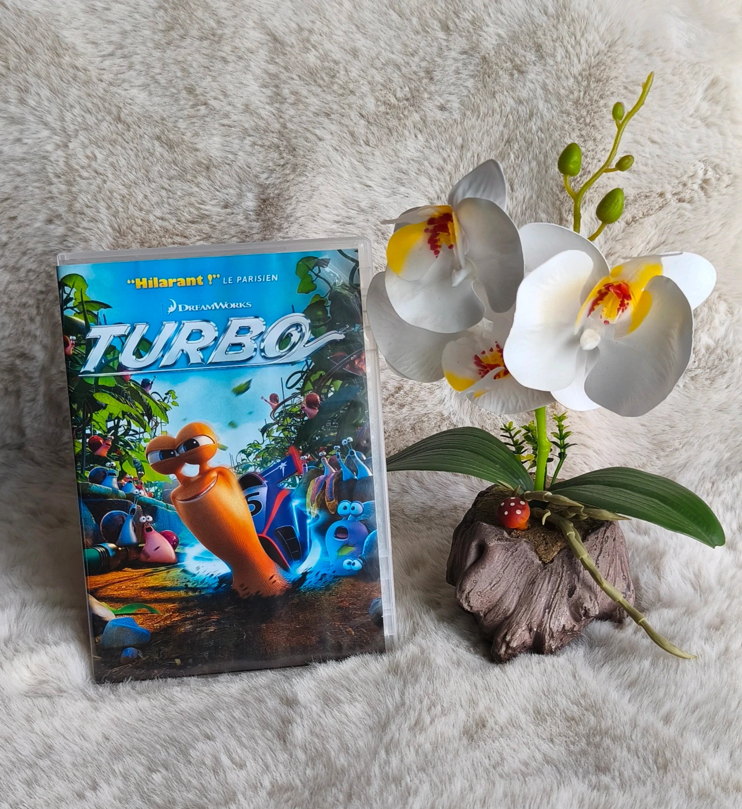 🧡 DVD "turbo" les aventures du petit escargot 🧡