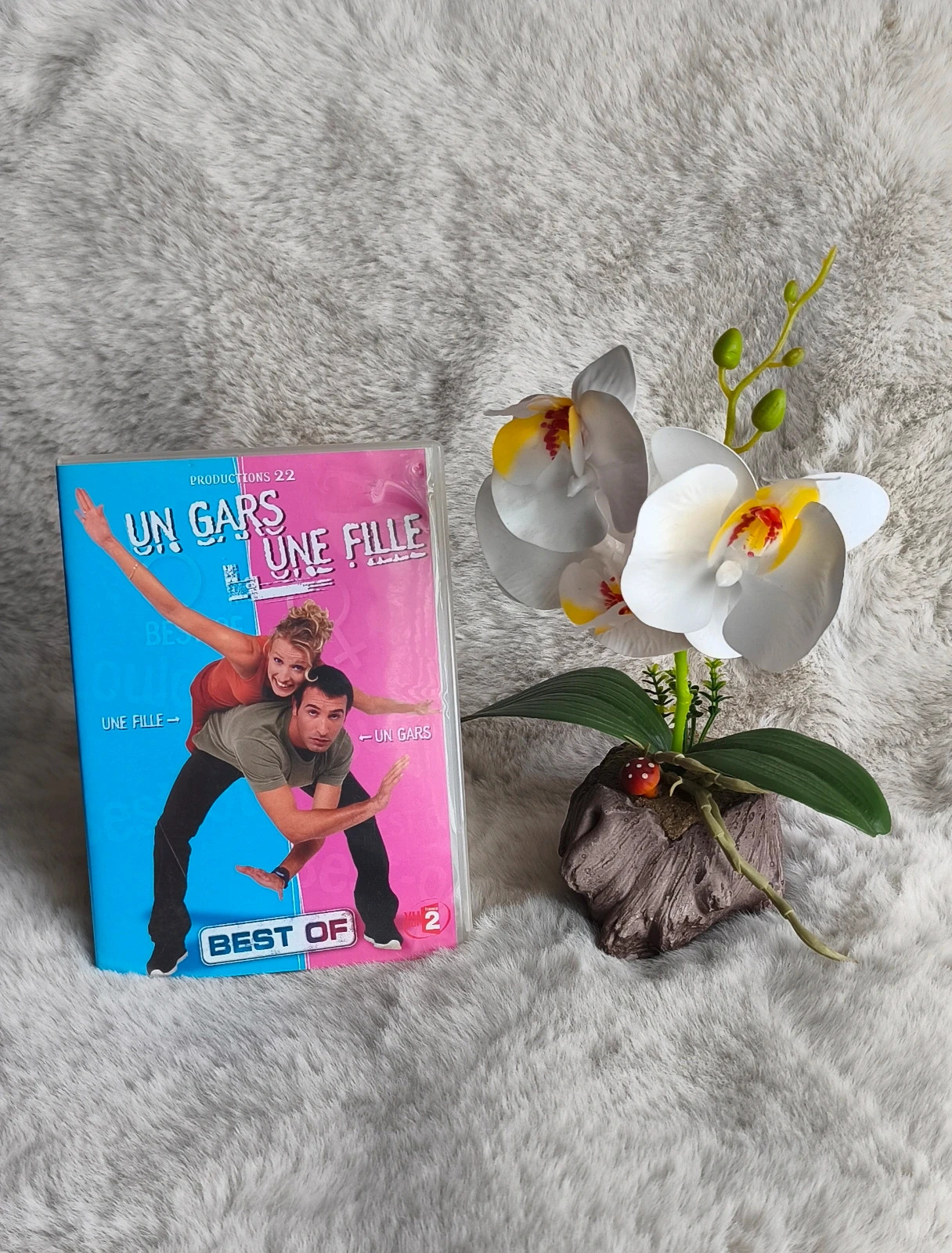 🩷 DVD "un gars une fille" 🩵