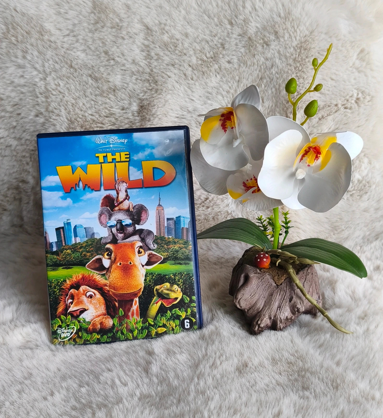 🧡 DVD " the wild" 🧡