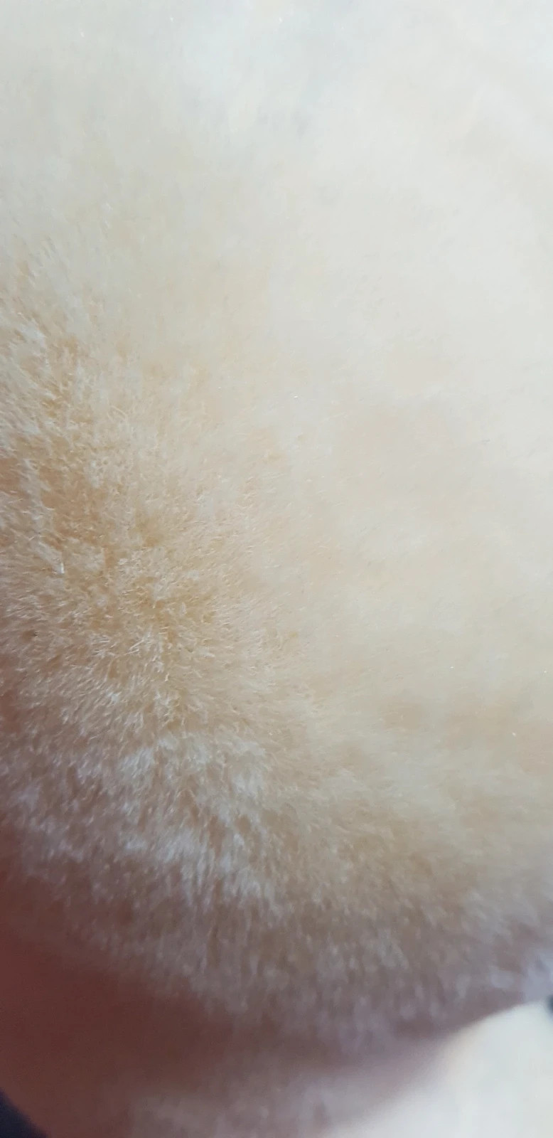 🤍 ours en peluche "je t'aime" 🤍 – GiFi – taille Taille unique 3