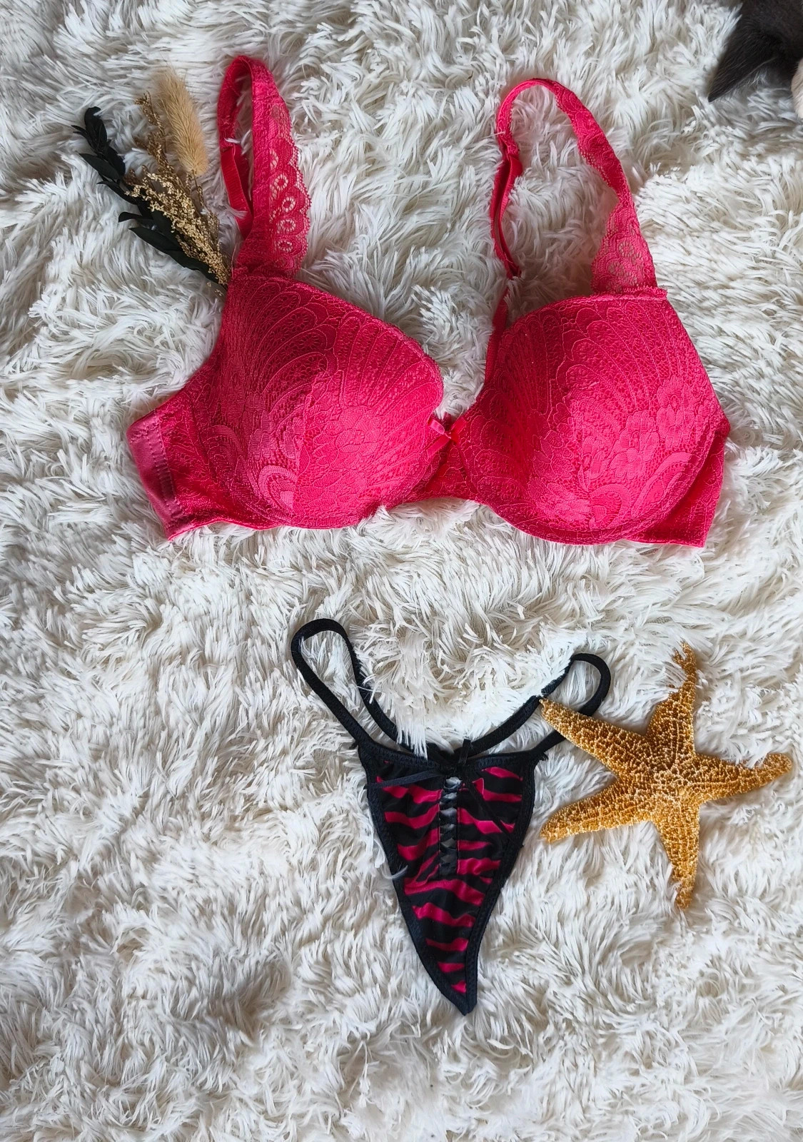 💗 soutien gorge femme T36/95C 💗 – Zeeman – taille Taille unique 2