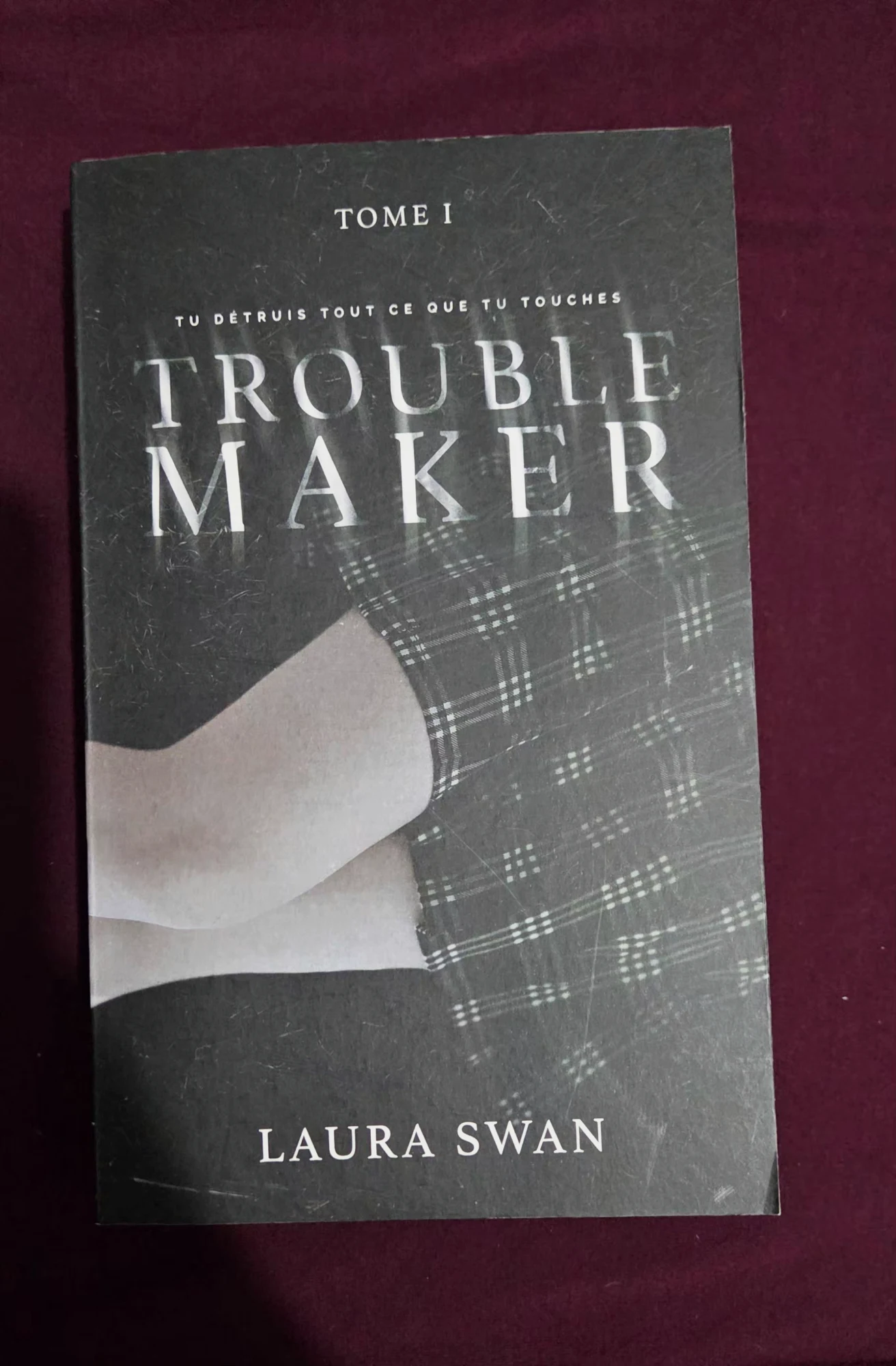 Trouble Maker Tome 1– Laura Swan