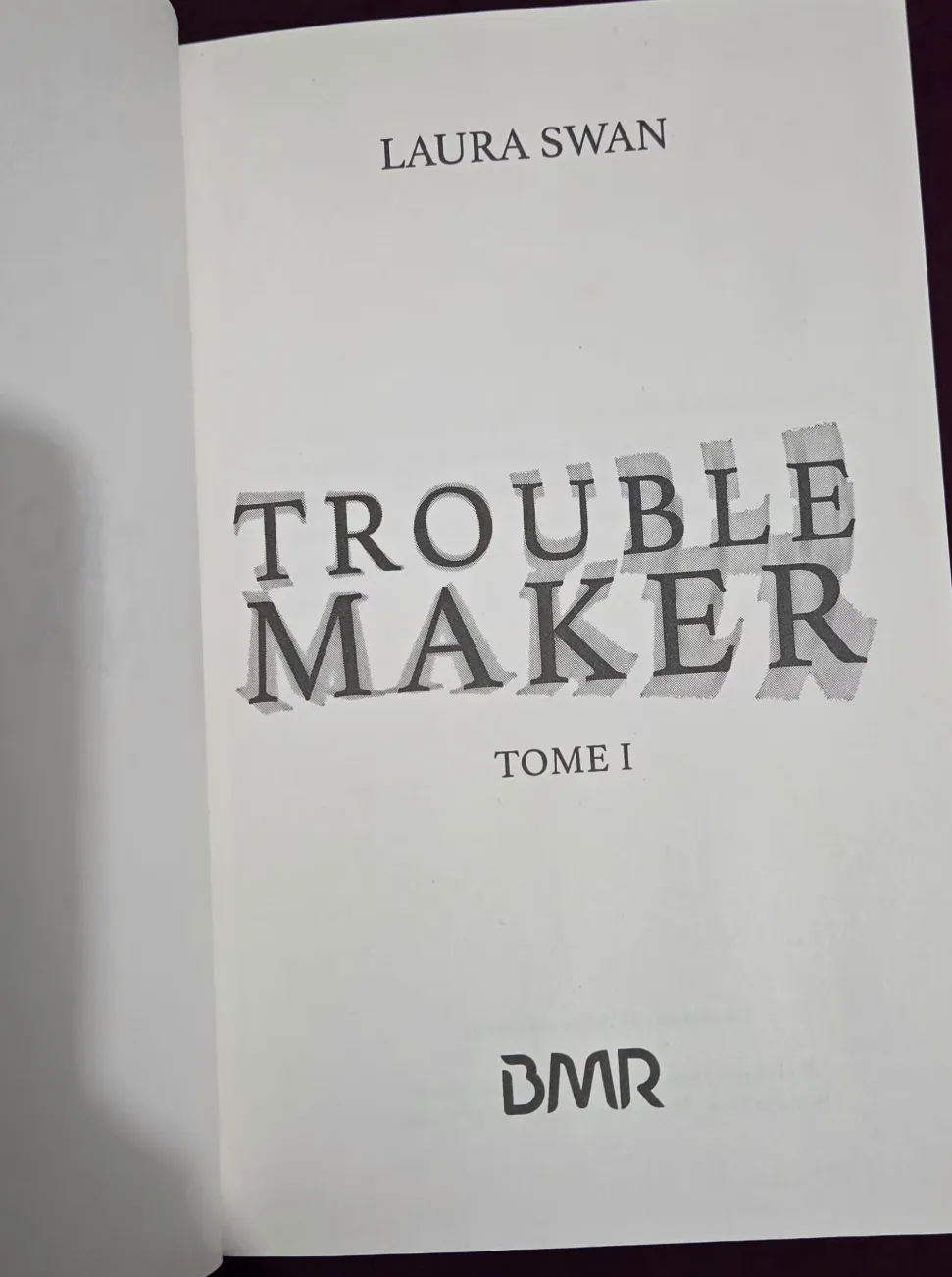 Trouble Maker Tome 1– Laura Swan – Troublemaker 2