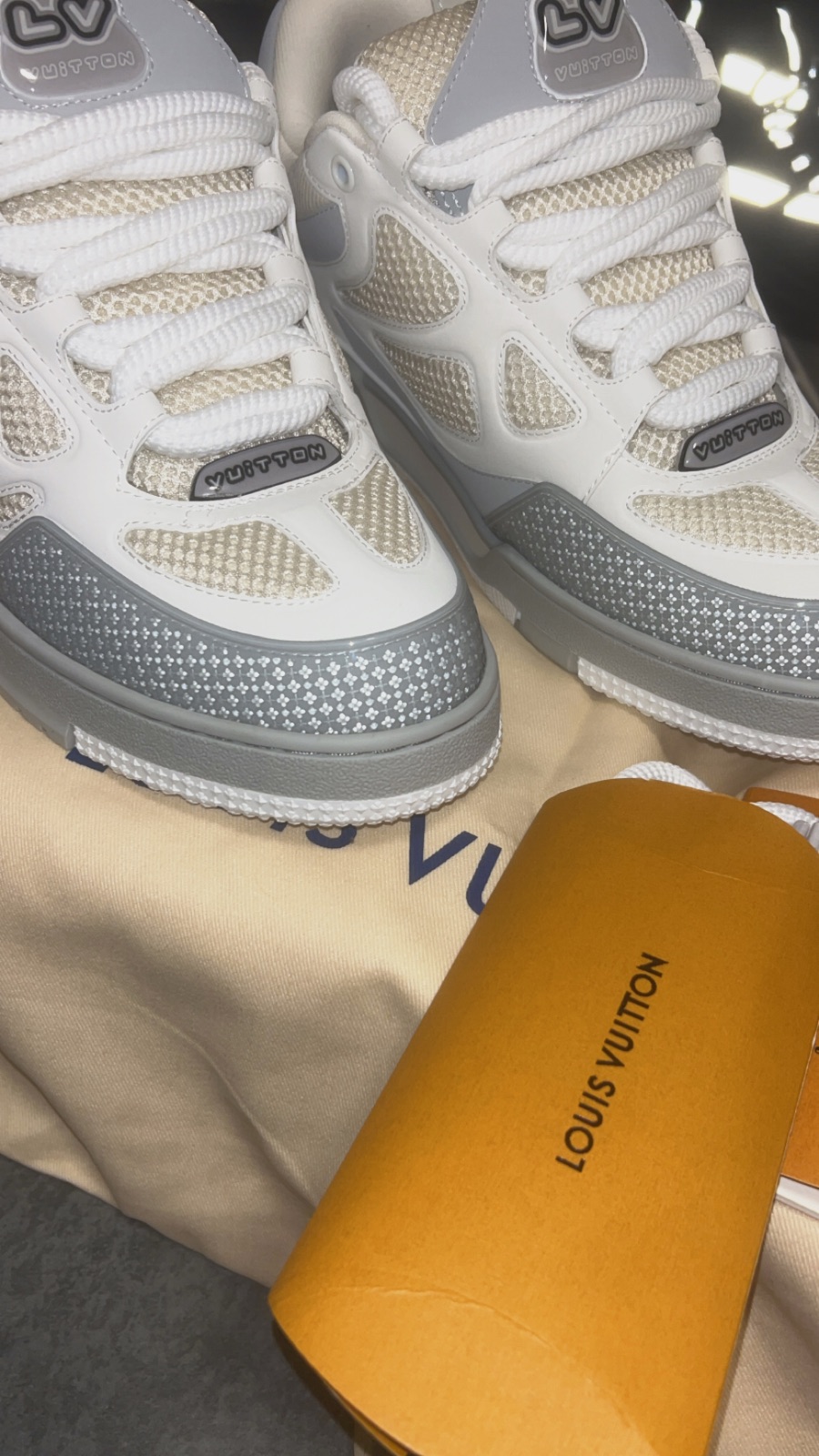 Baskets Louis Vuitton LV Skate blanc et gris – Louis Vuitton – taille EU 44 5