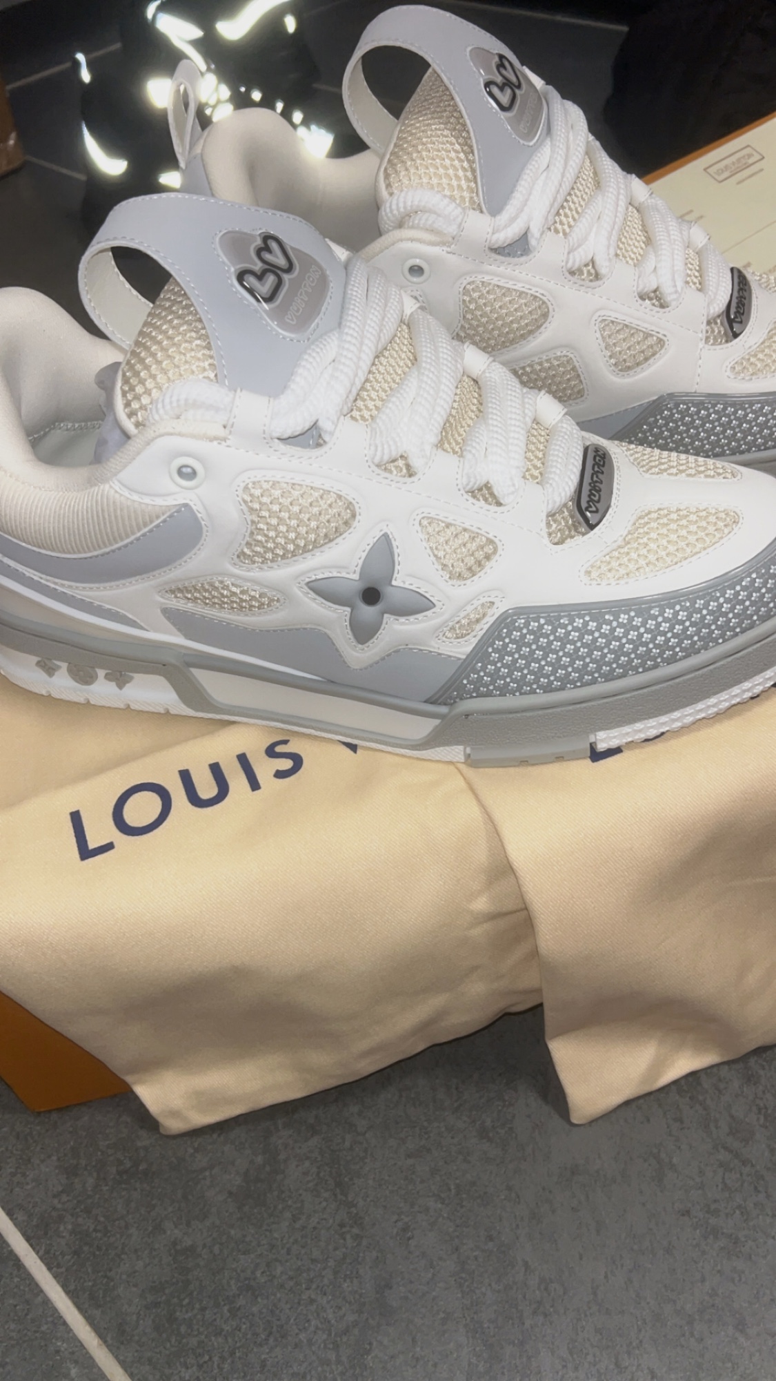 Baskets Louis Vuitton LV Skate blanc et gris