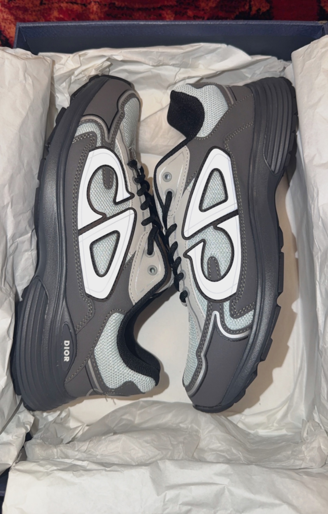 Dior B30 Sneaker