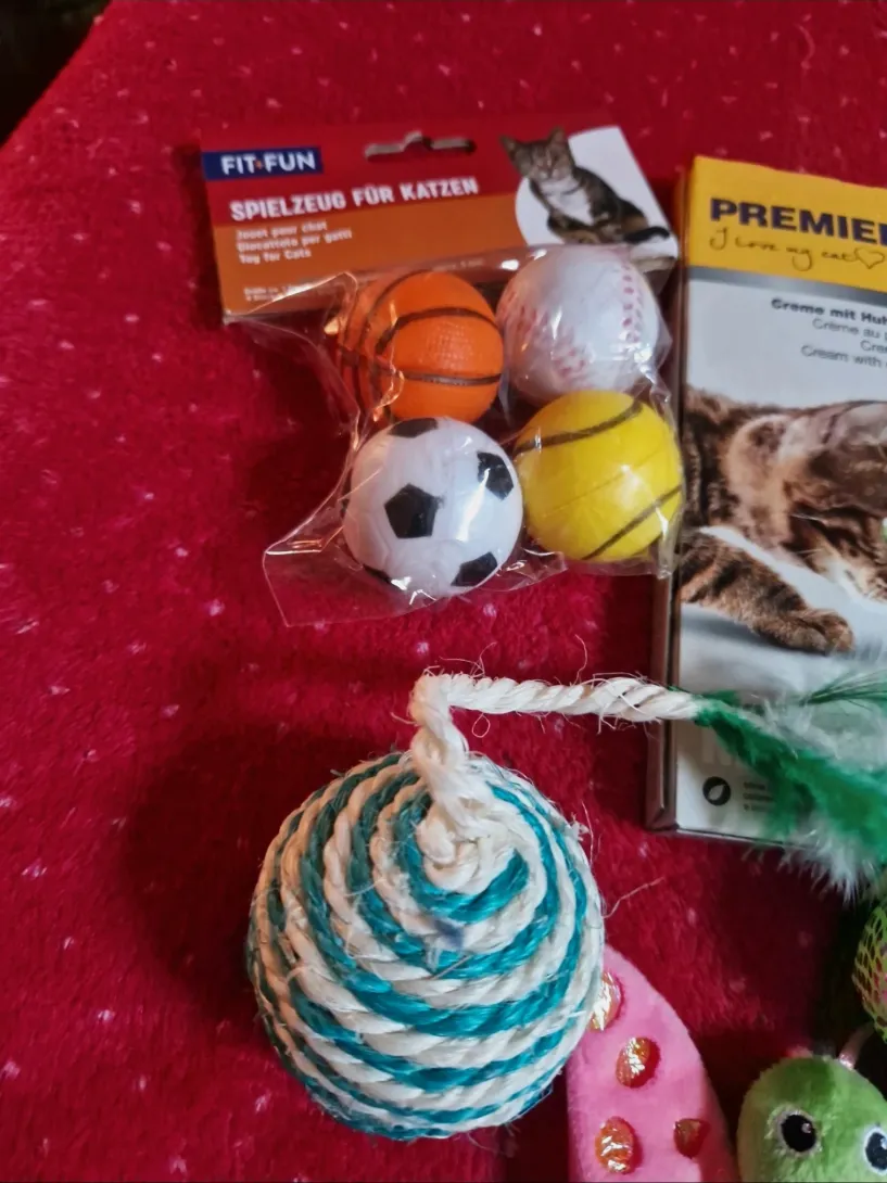 Lot de jouets pour chat ou chaton – Fit & Fun 2