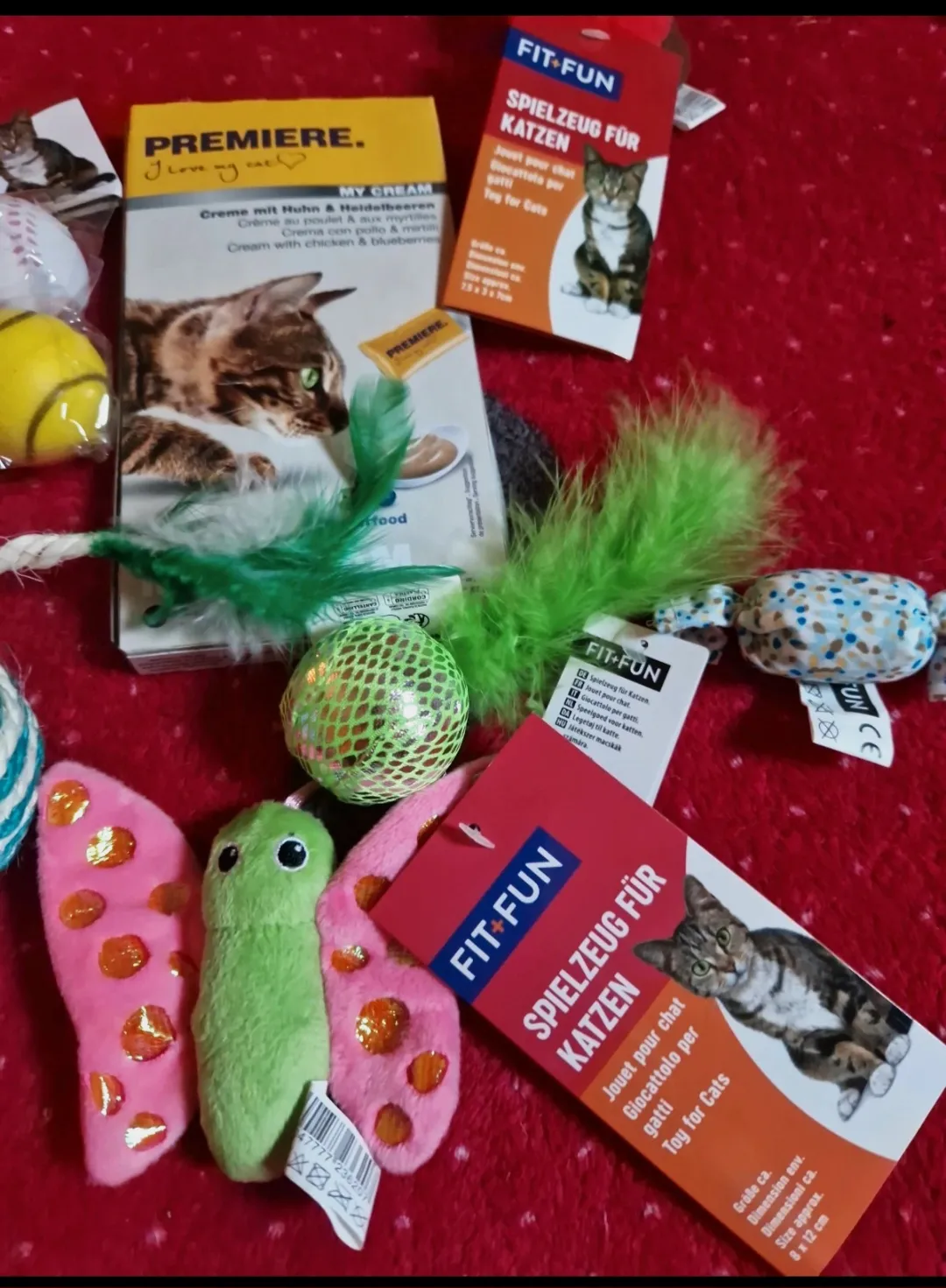 Lot de jouets pour chat ou chaton – Fit & Fun 3