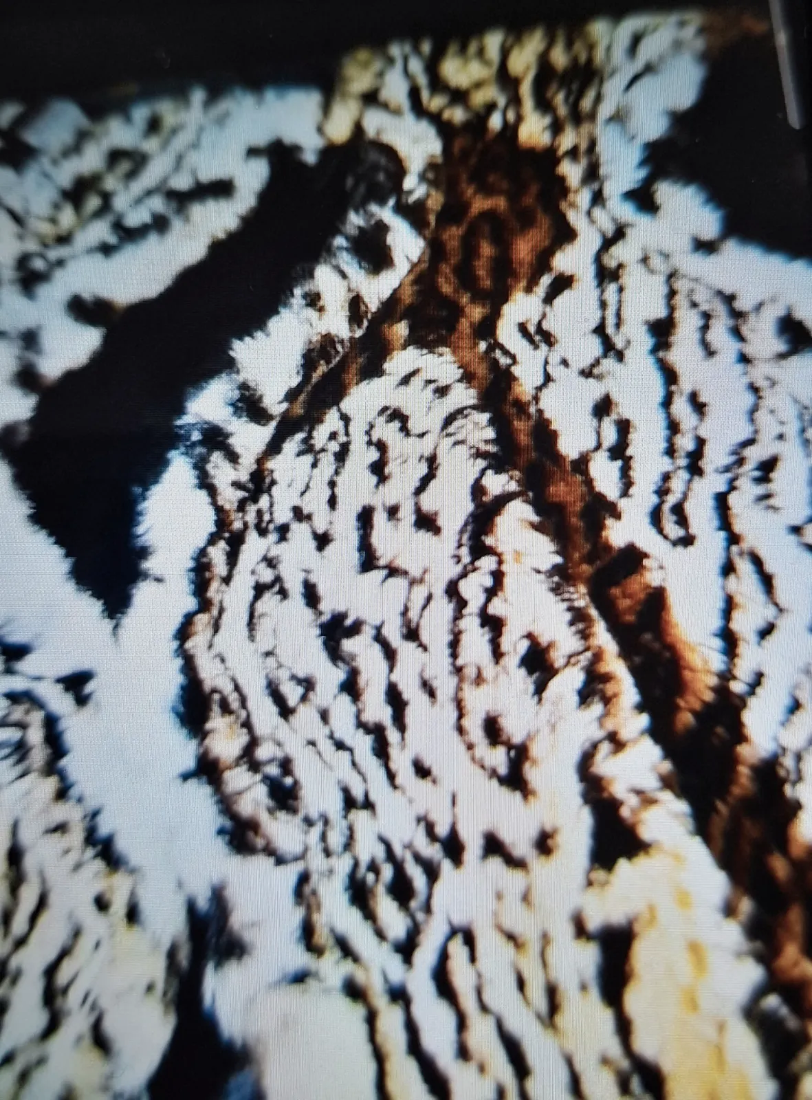 Gilet large fourrure leopard – Mode de paris – taille Taille unique 3