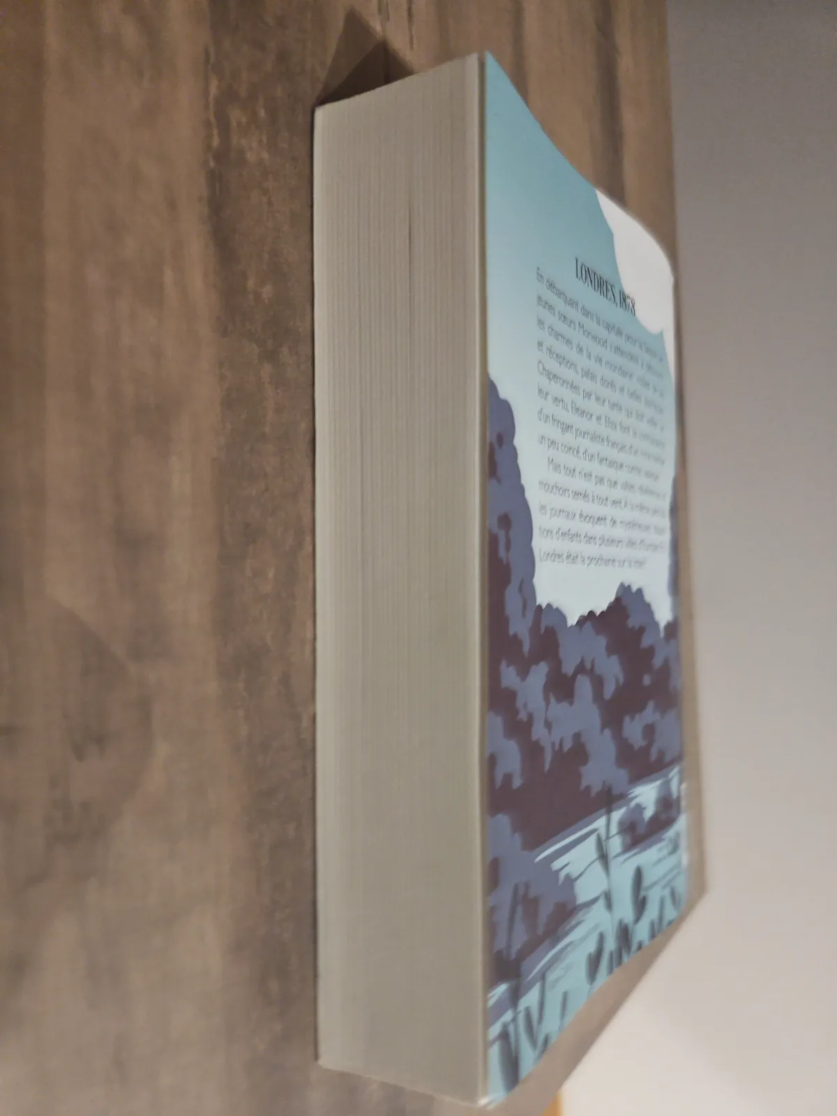 Livre Roman Ado La Saison des disparus - M. Sylvander – M+ 3