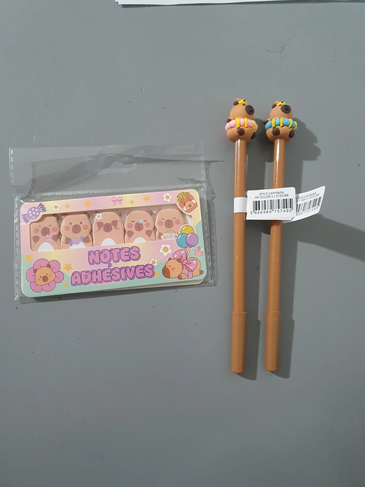 Capybara - Stylos + notes adhésives