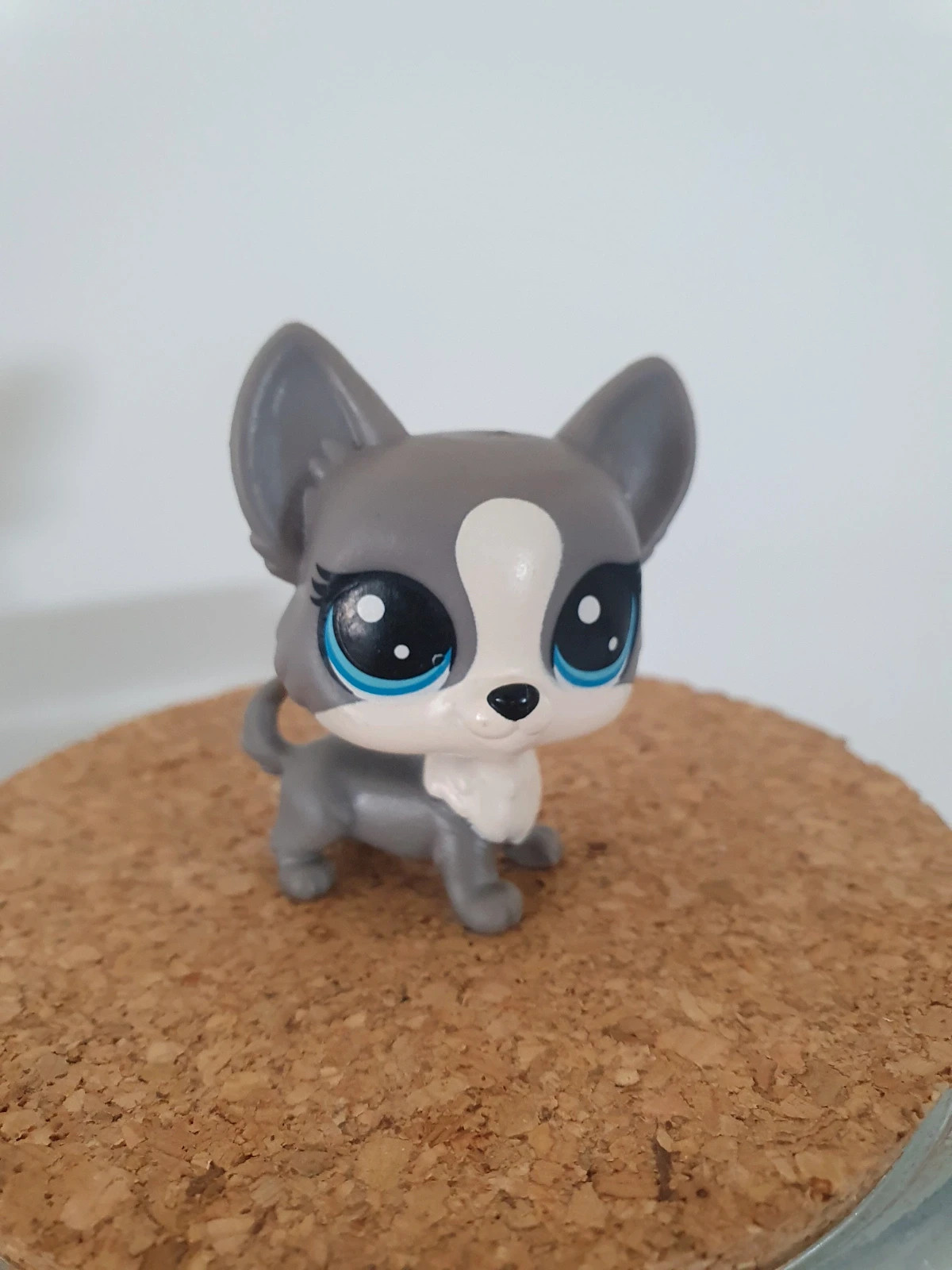 Petshop lps chien corgi #85