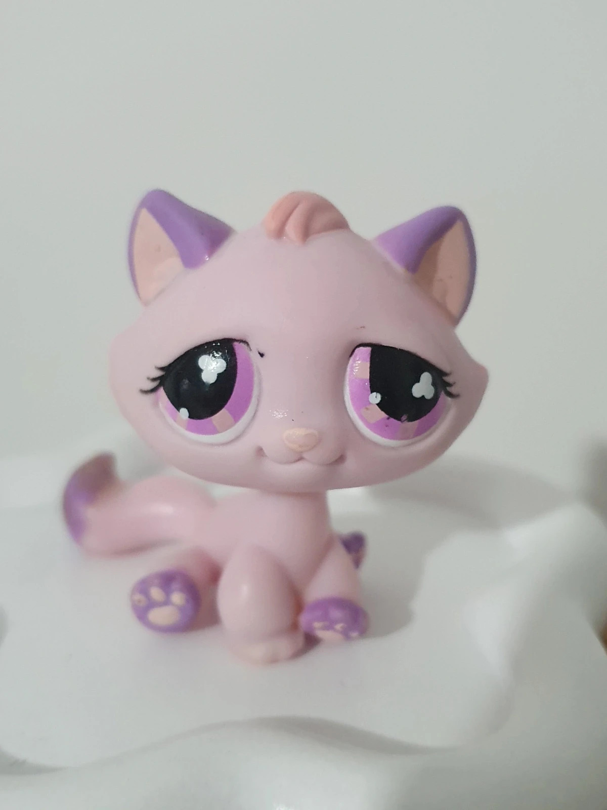 Petshop lps chat de gouttière #576