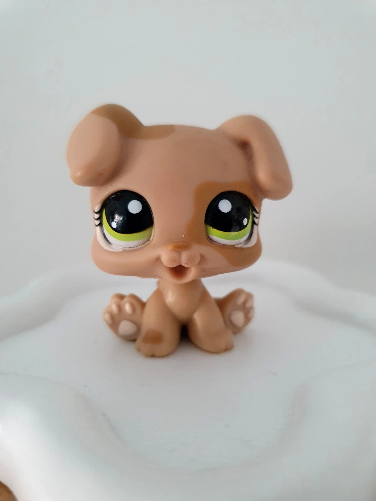 Petshop lps chiot #1353