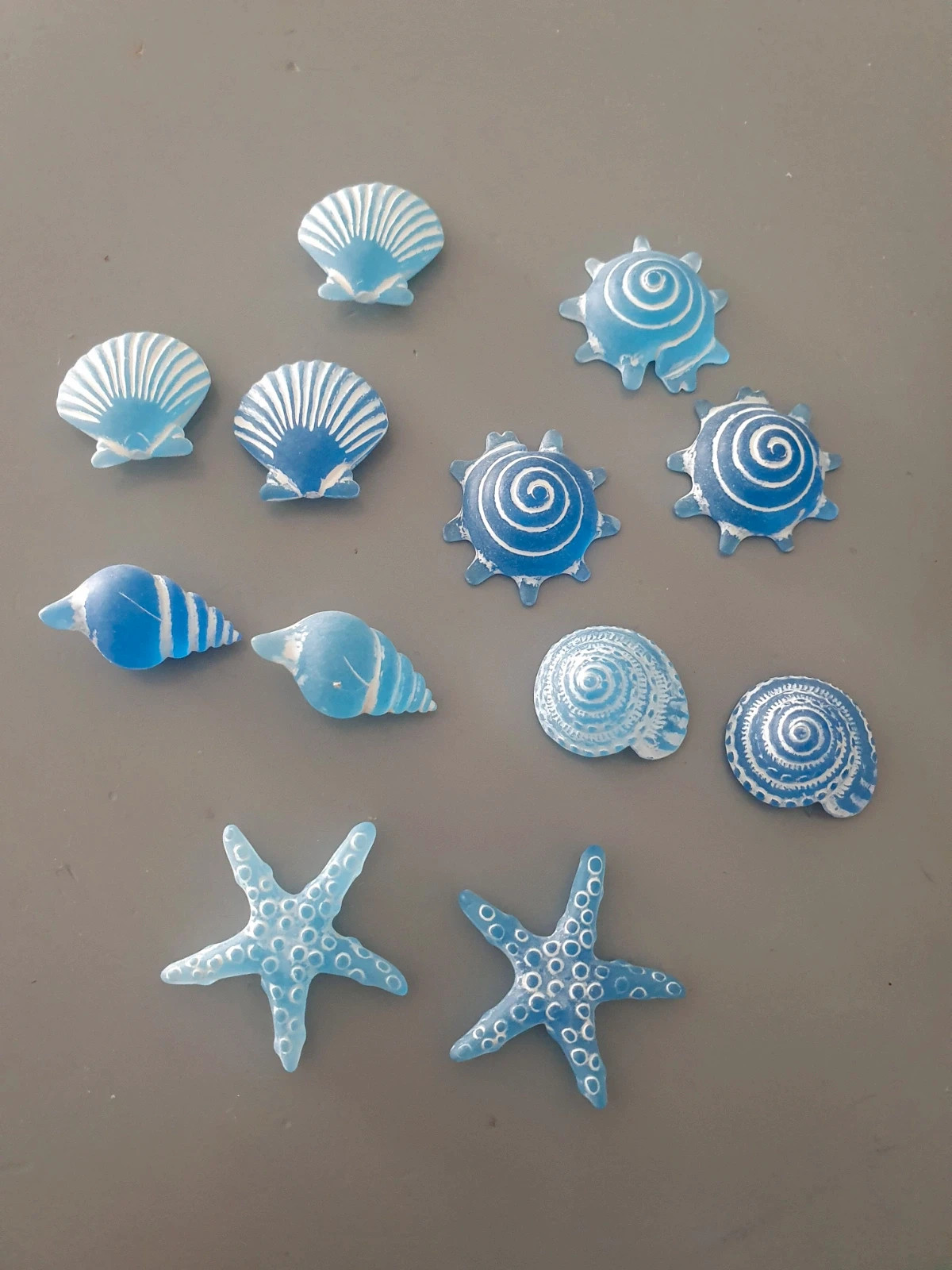 Lot sujets acrylique coquillages