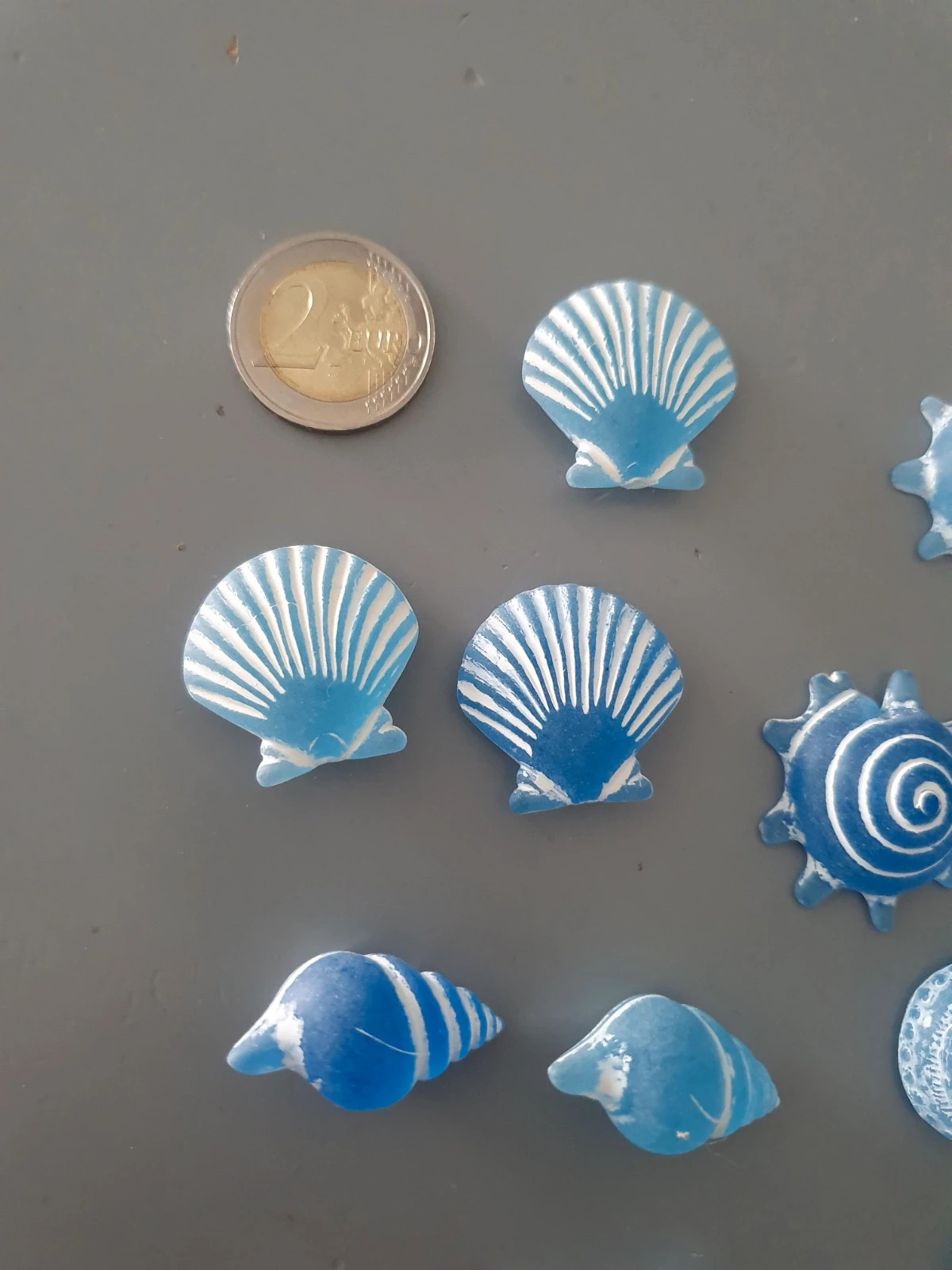 Lot sujets acrylique coquillages – Accessories 2