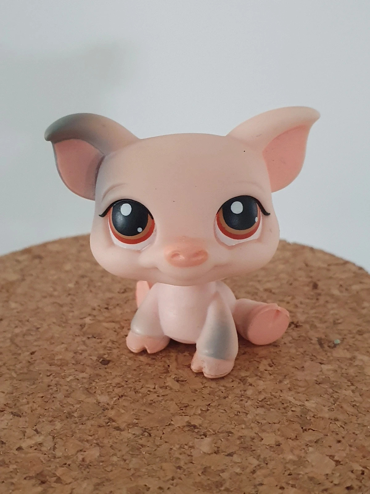 Petshopl lps cochon #259 🐖