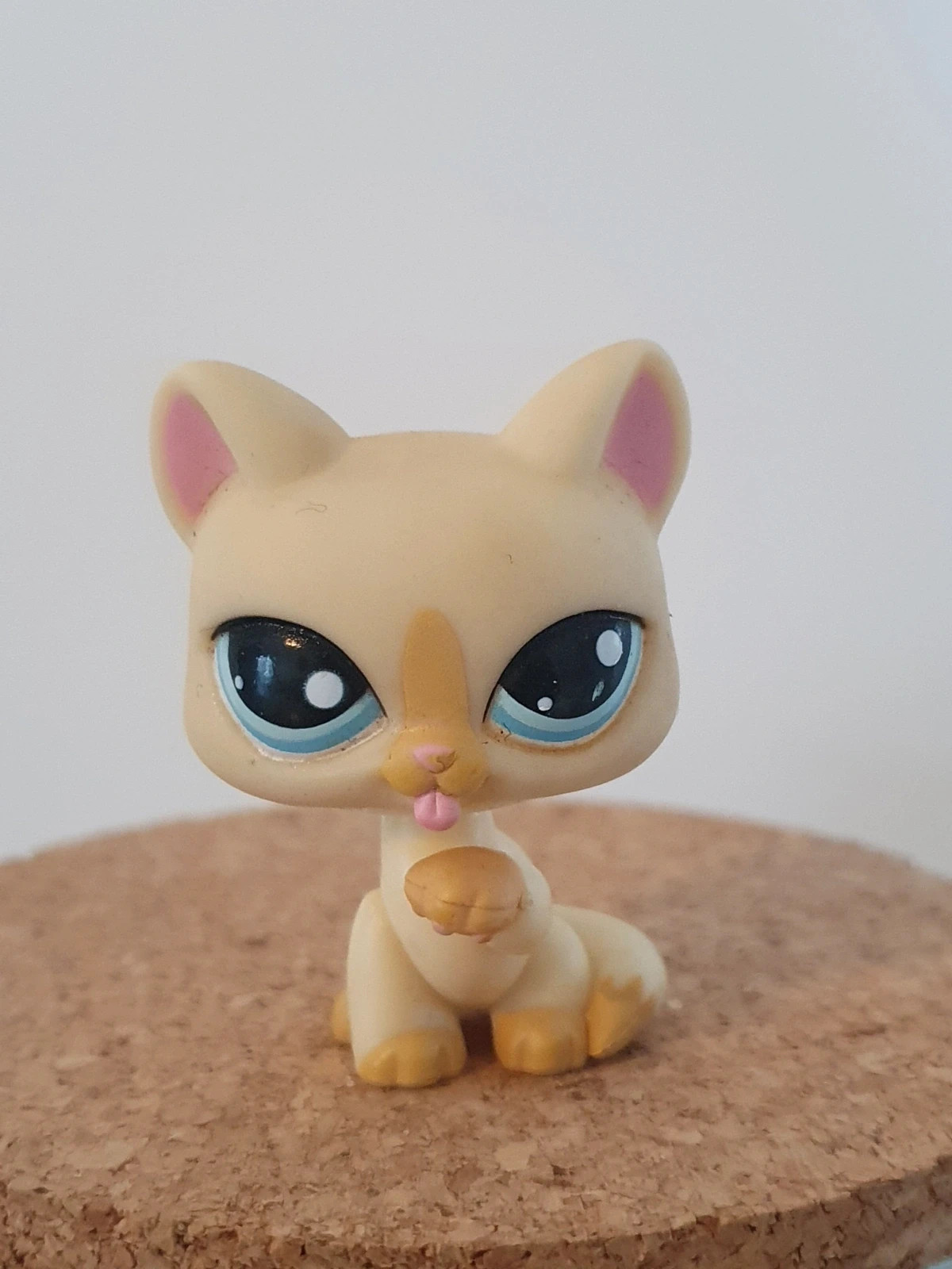 Petshop lps chat chartreux #981 🐱