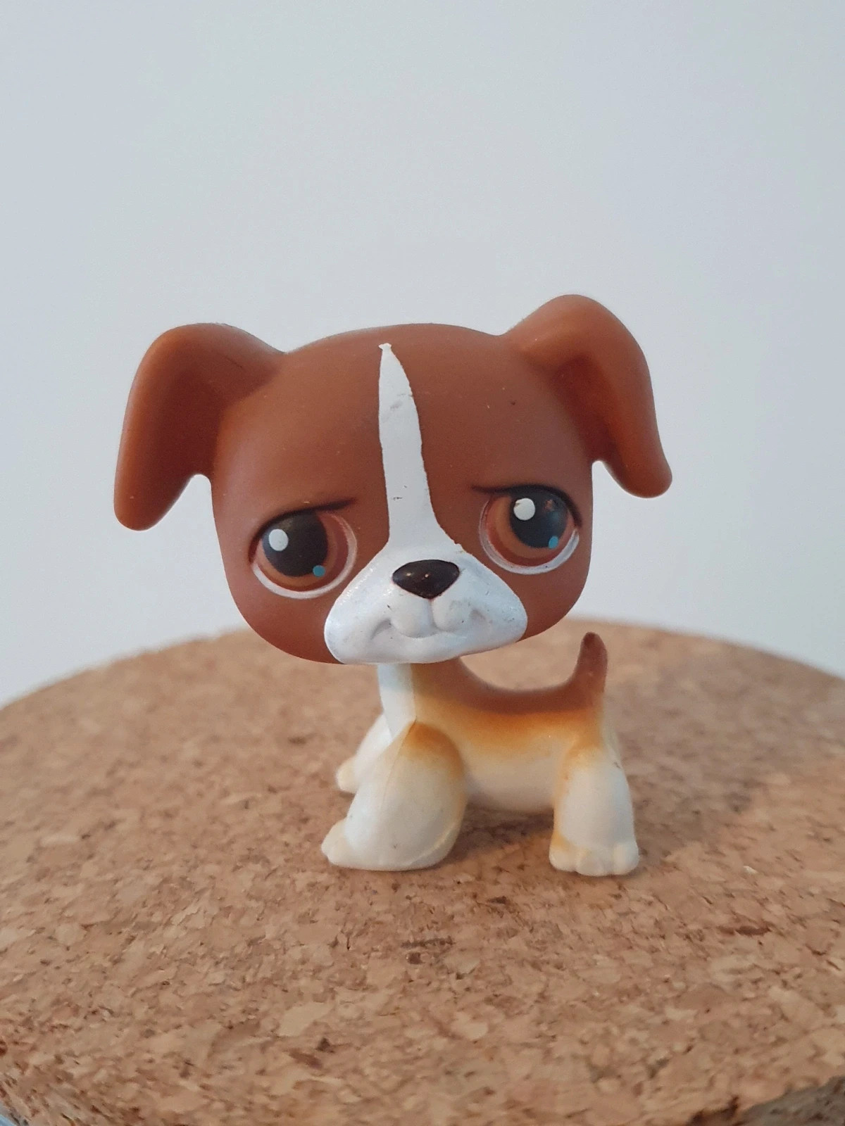 Petshop lps chien boxer #25