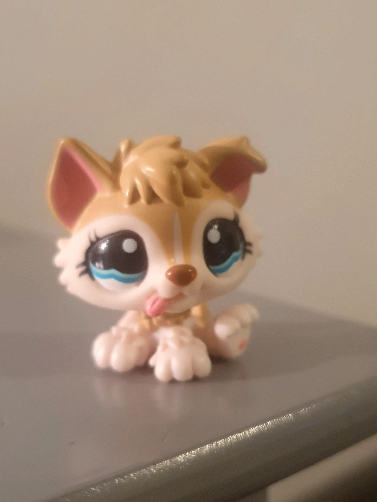 Petshop lps husky #1013