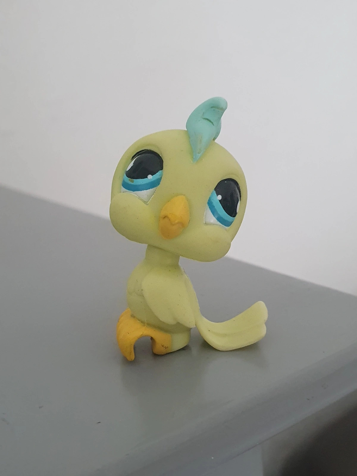 Petshop lps oiseau