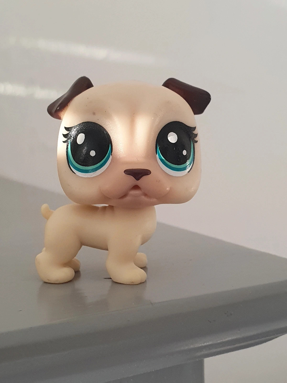Petshop lps chien