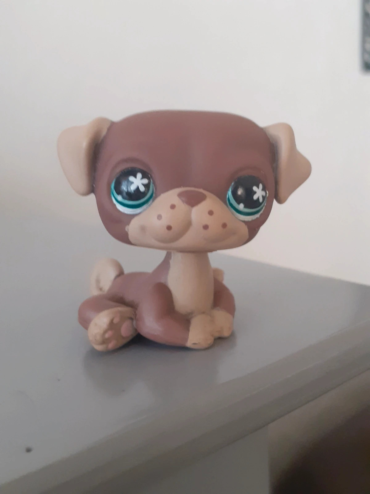 Petshop lps chien carlin #889