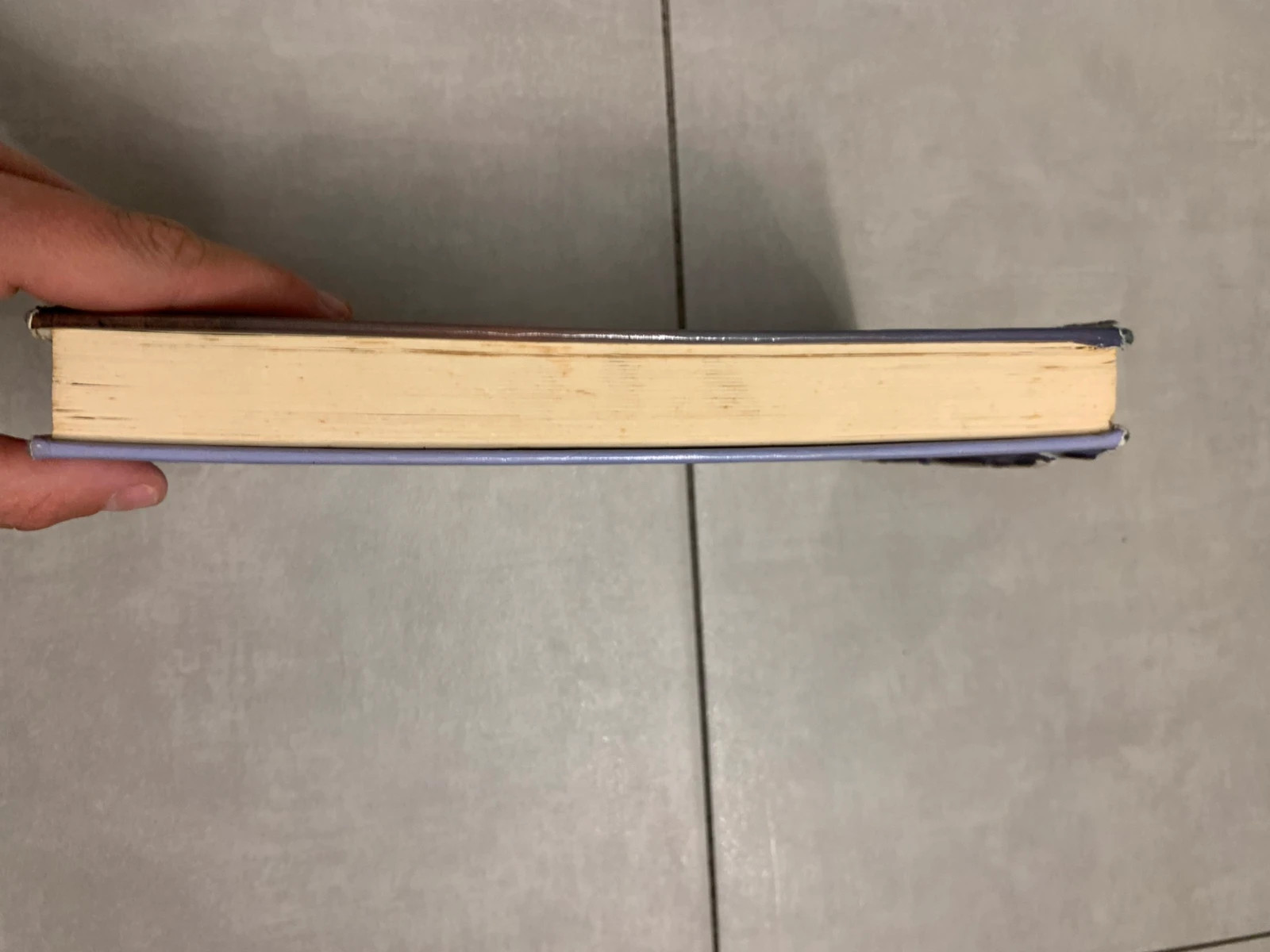 Livre Lune trouble – Laurie MacBain – édition France Loisirs 1981 5