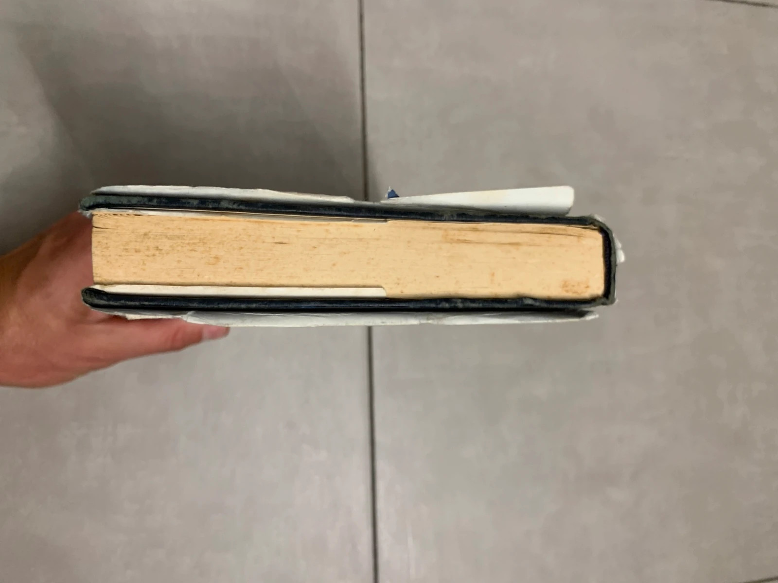 Livre Lune trouble – Laurie MacBain – édition France Loisirs 1981 4