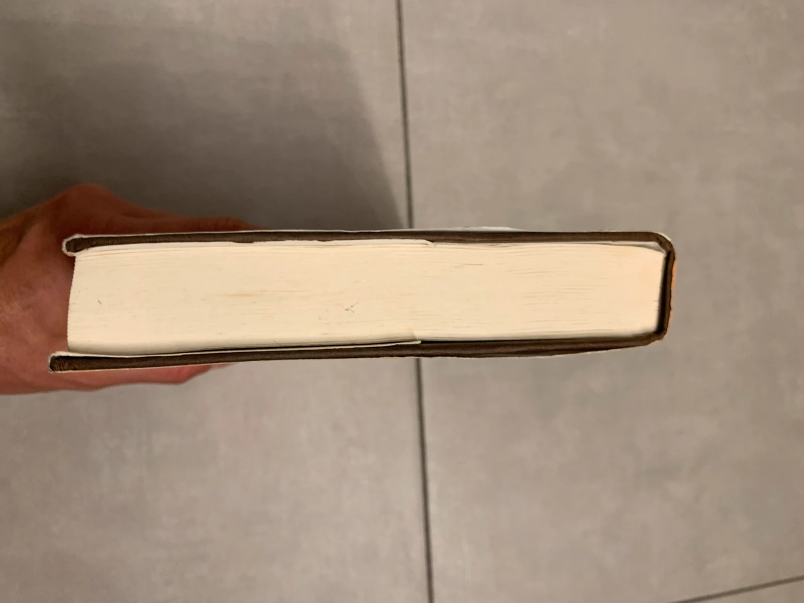 Livre La Belle de Boston – Janet Dailey – édition France Loisirs 4
