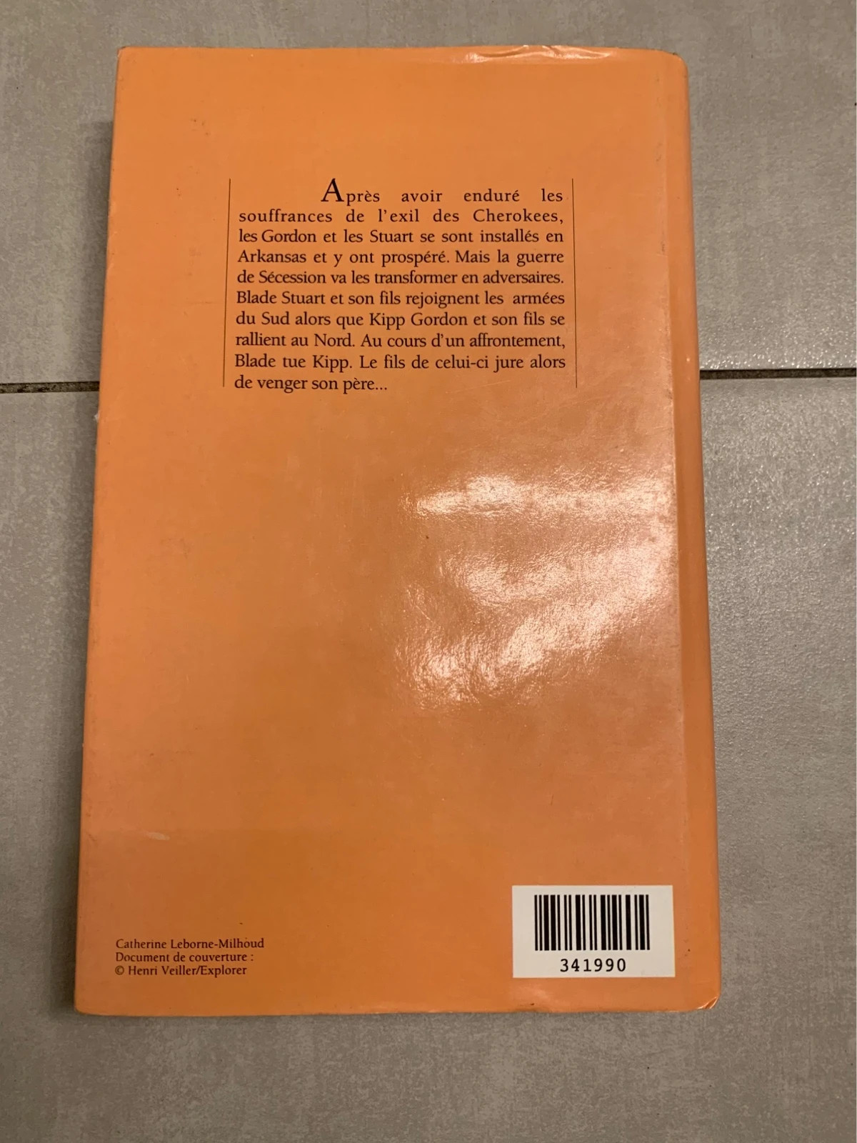 Livre La Belle de Boston – Janet Dailey – édition France Loisirs 2