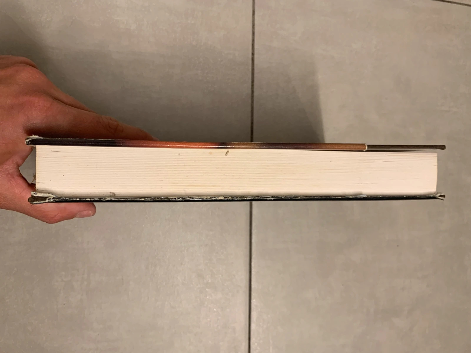 Livre Farouche – Judith Michael – édition France Loisirs 5