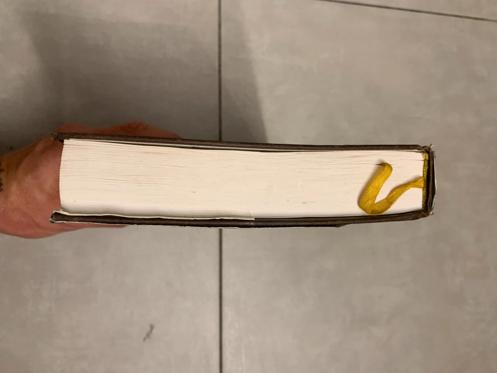 Livre Farouche – Judith Michael – édition France Loisirs 4