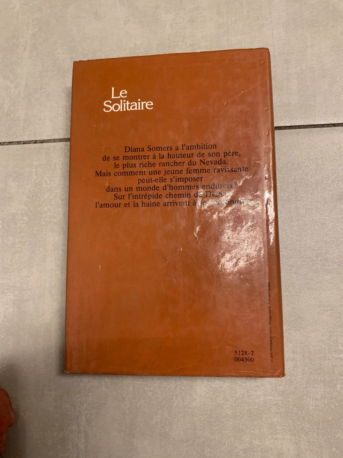 Livre Le Solitaire – Janet Dailey – France Loisirs 1982 2